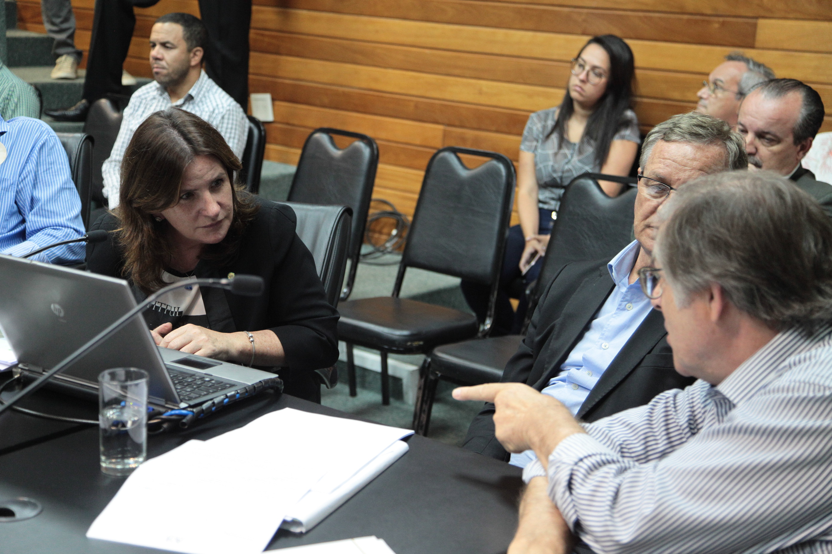 Reunião ampliada de Trabalho da Frente Parlamentar Catarinense em conjunto com a Comissão de Transportes e Desenvolvimento Urbano para tratar do assunto Parque Nacional da Serra Catarinense.