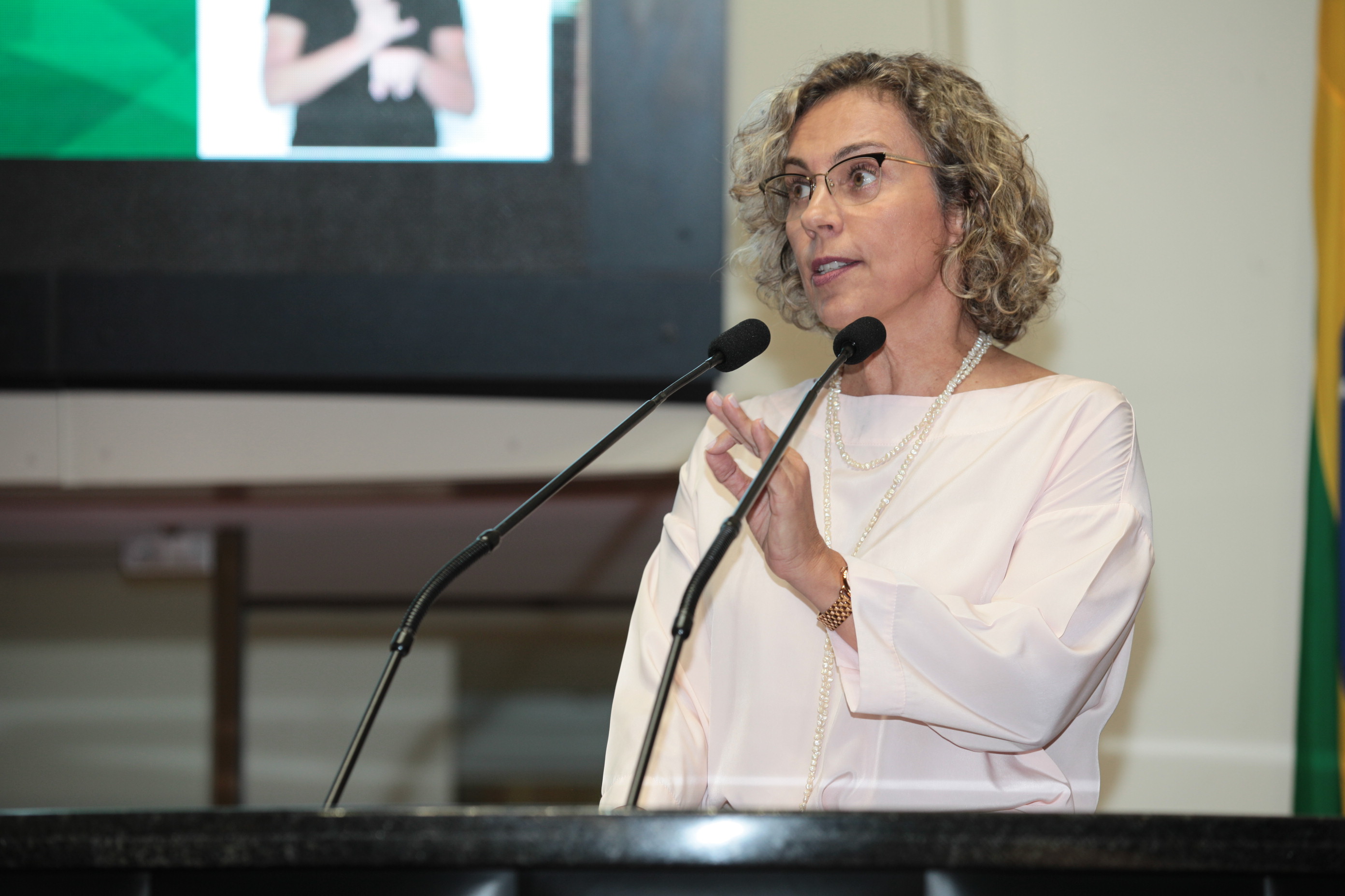 Sessão Plenária - Deputada Ana Paula Lima (PT)