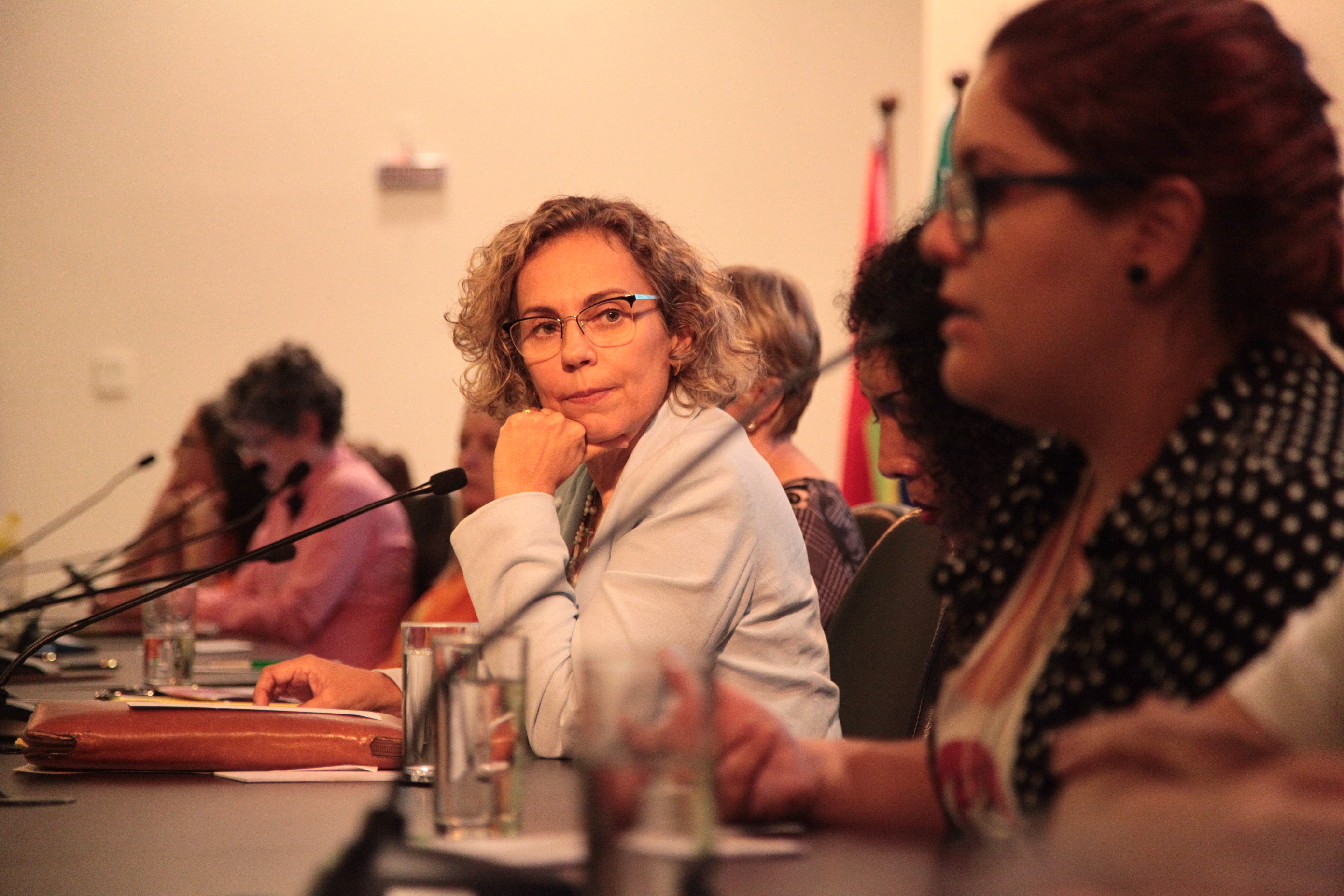 Seminário - Pelo fim da Violência Doméstica Contra a Mulher
