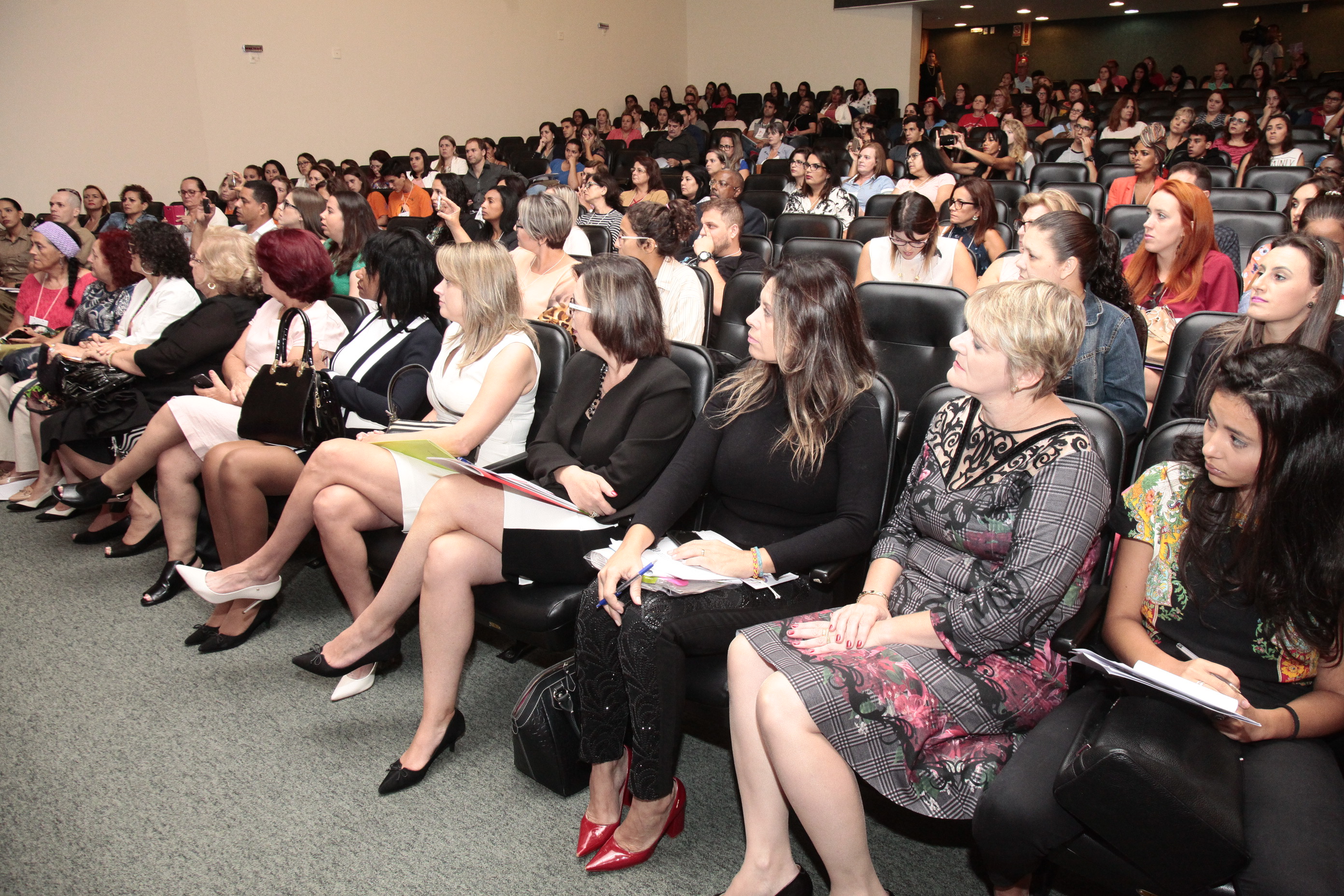 Seminário Pelo Fim da Violência Contra a Mulher