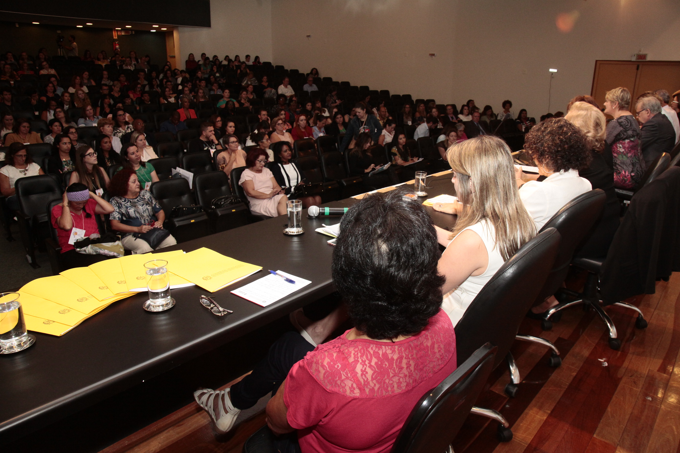 Seminário Pelo Fim da Violência Contra a Mulher