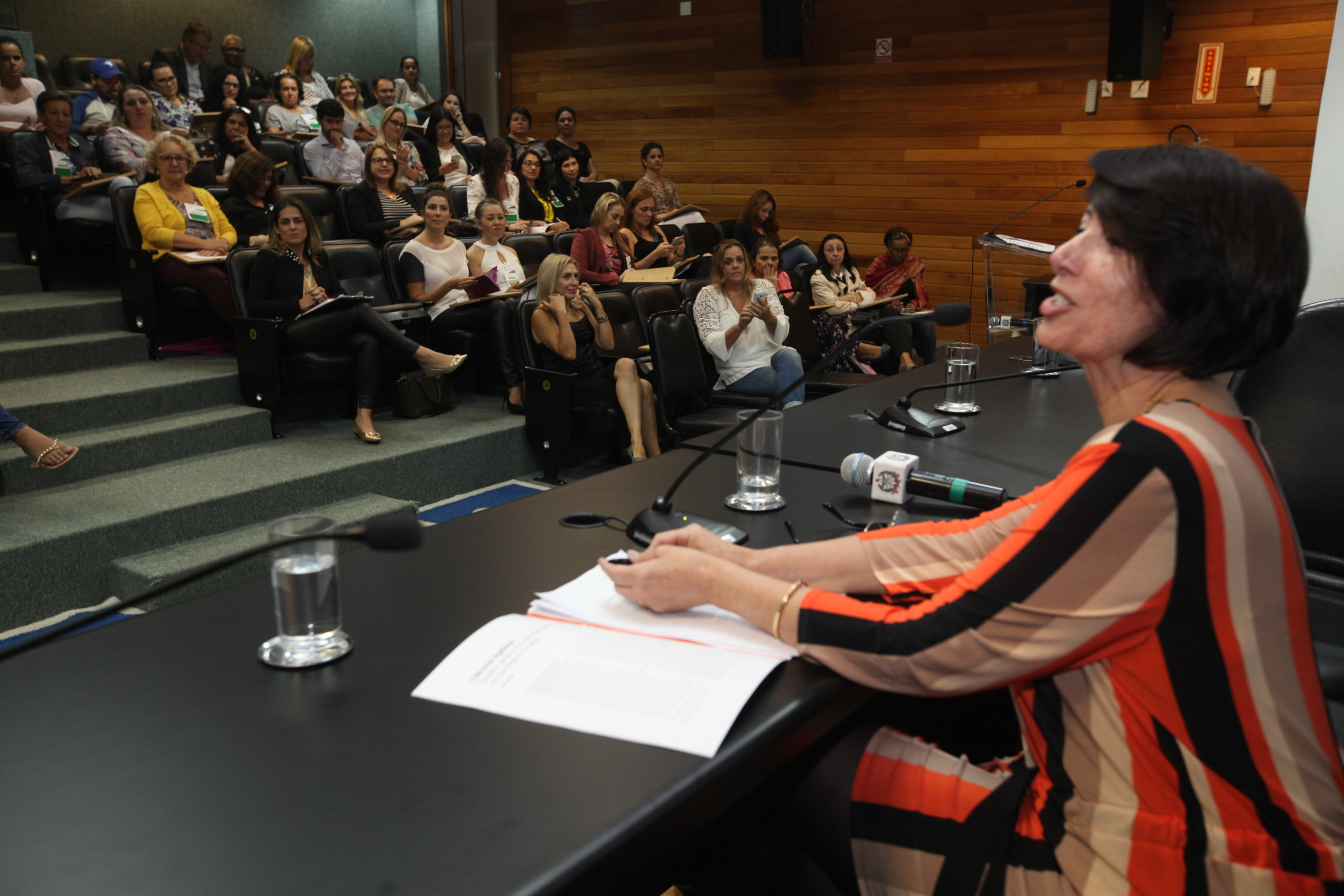 Seminário Mulheres na Política - Elas Podem O País Precisa.