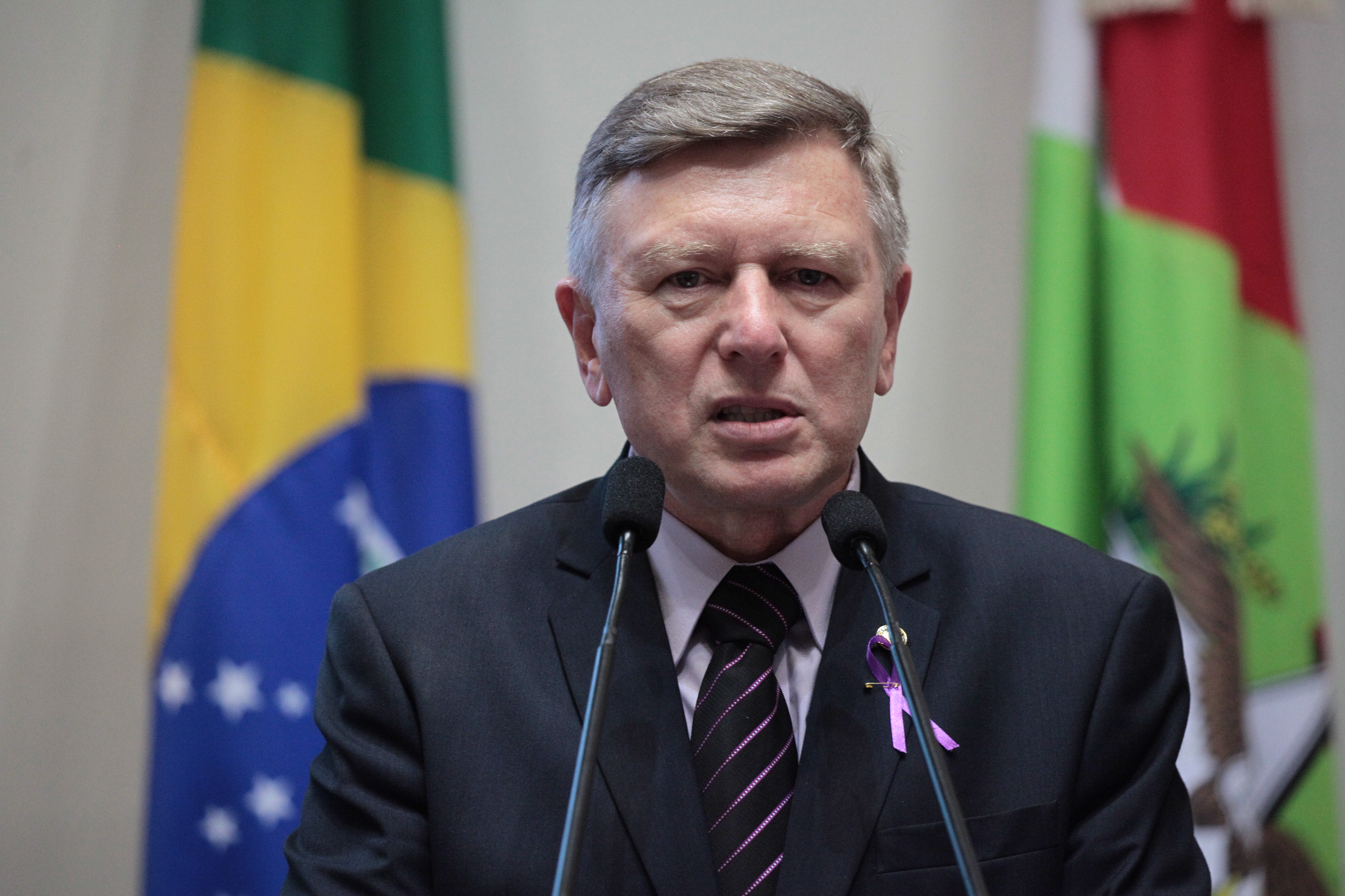 Sessão Ordinária - Deputado Milton Hobus (PSD)