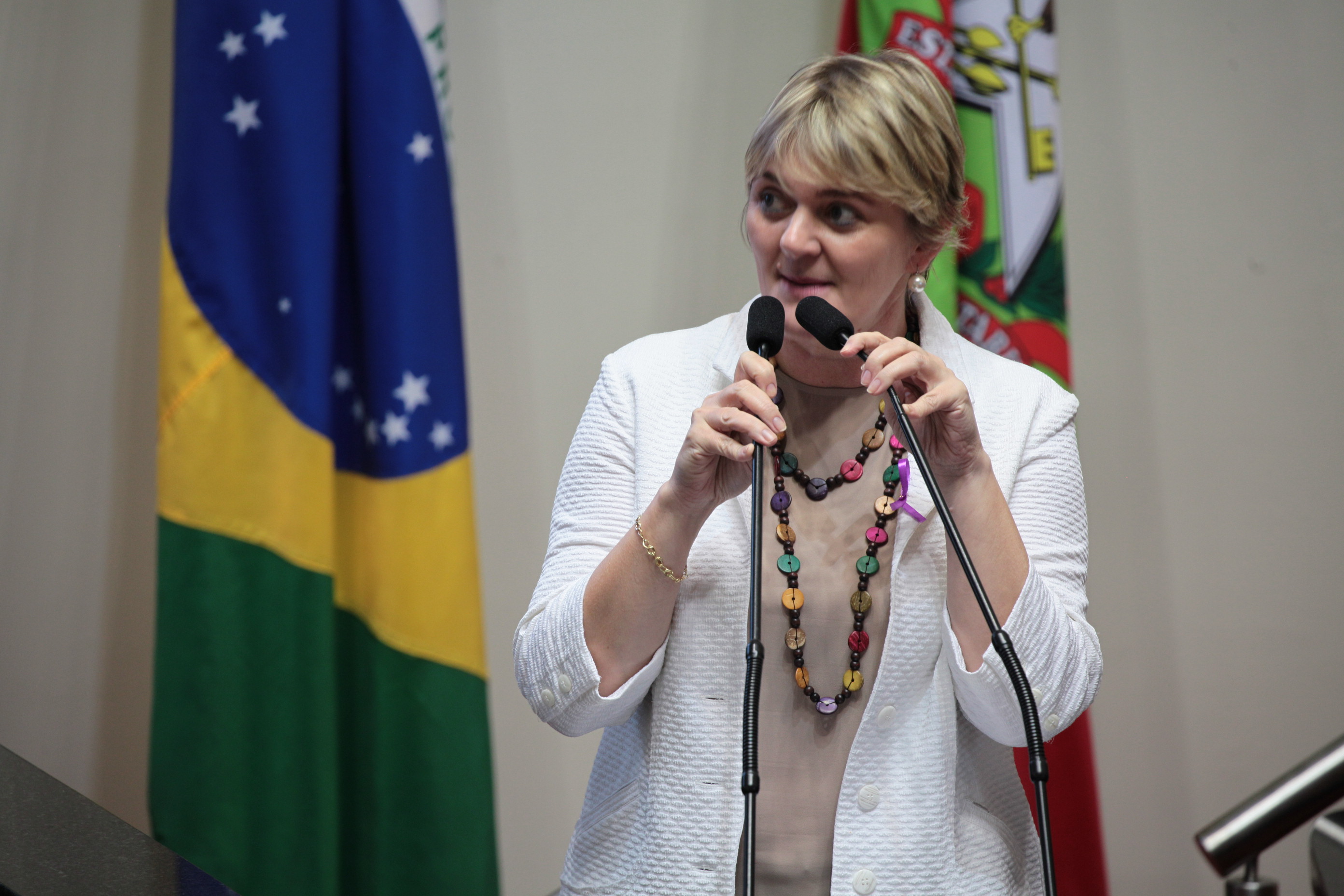 Sessão Ordinária - Deputada Luciane Carminatti (PT)
