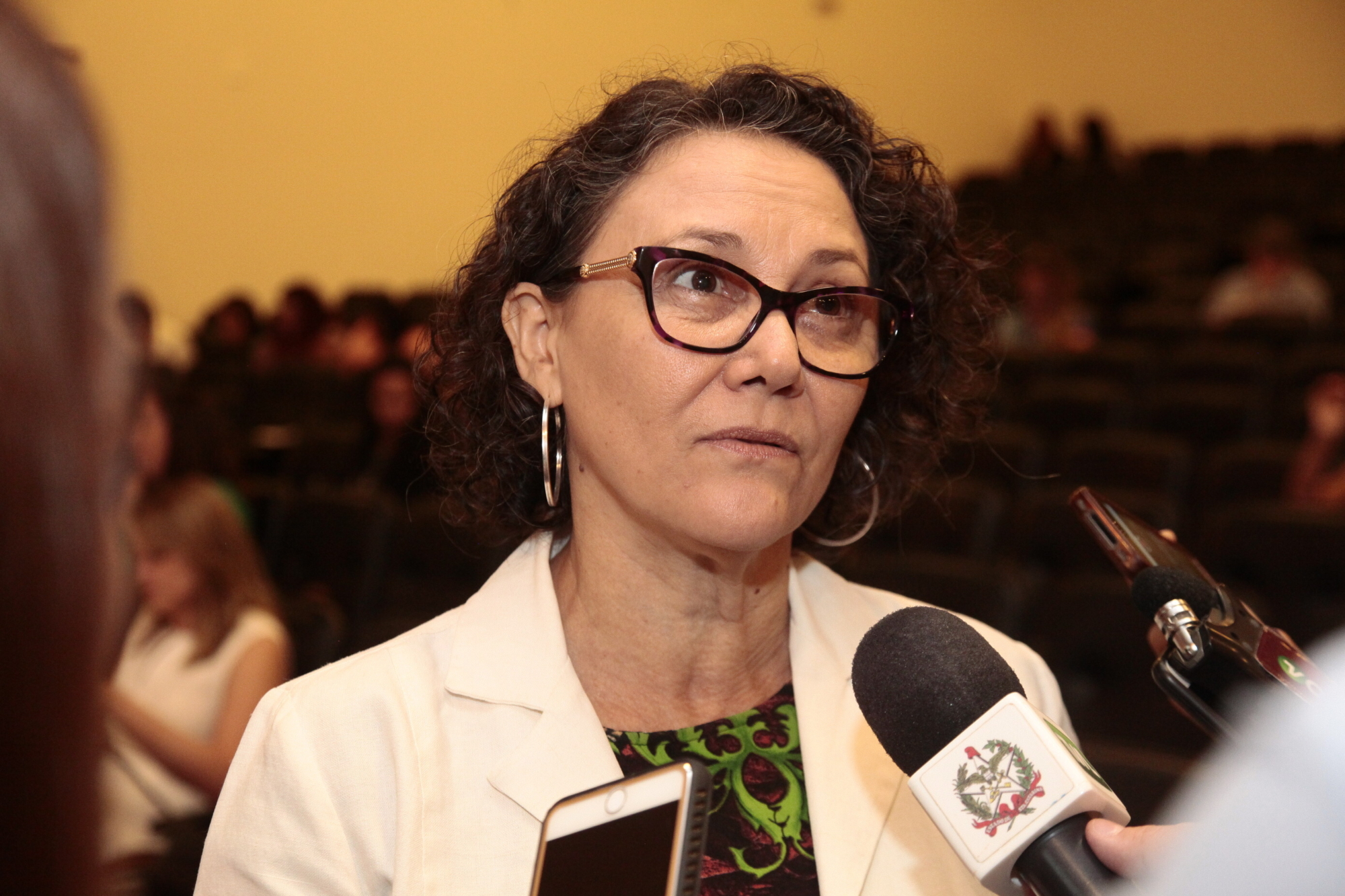 Audiência debate pacto estadual pela aplicação da Lei Maria da Penha