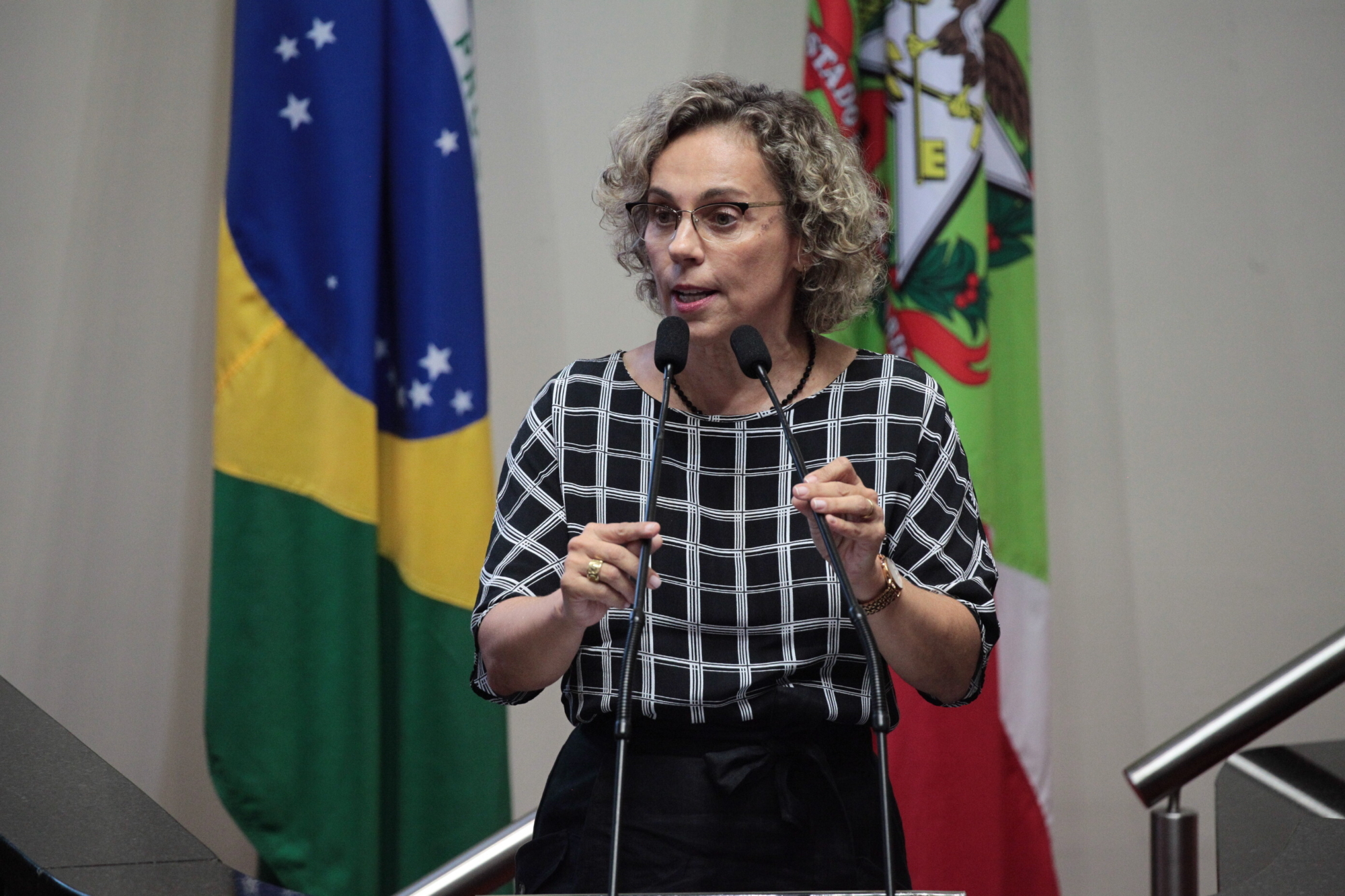 Deputada Ana Paula destaca em plenário passagem da Caravana da Paz em SC