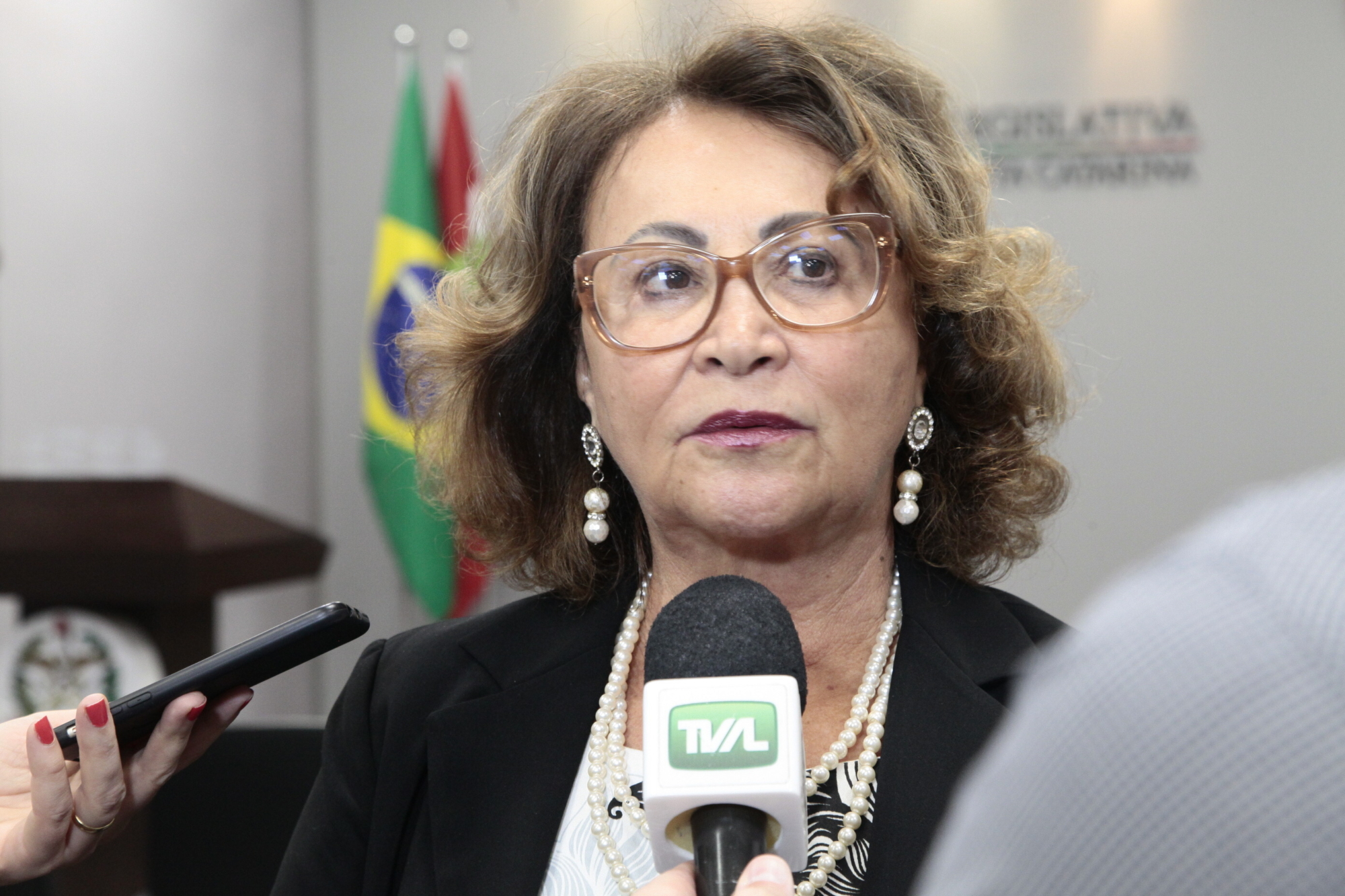 Apresentada na Assembleia a 15ª Feira do Livro de Joinville