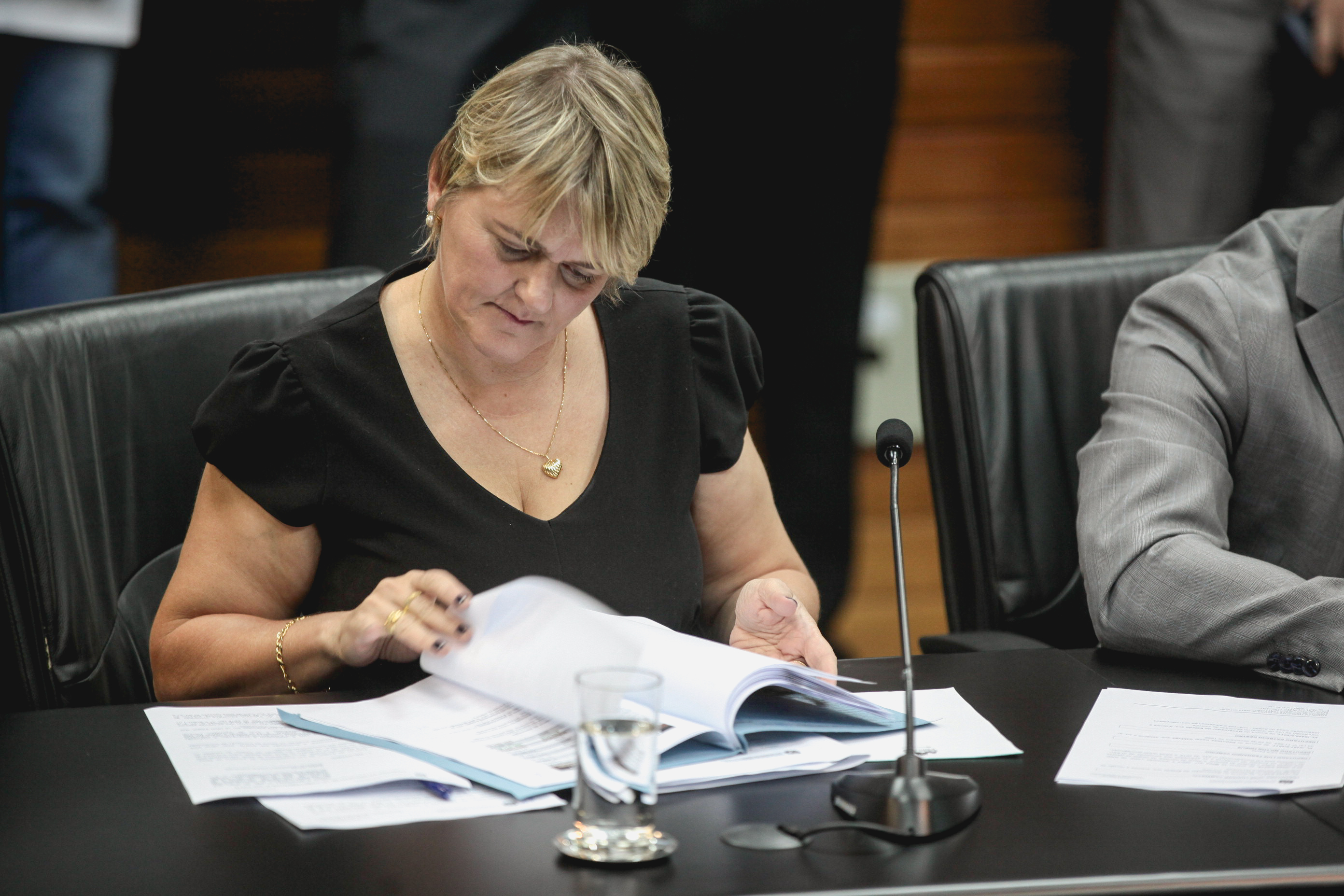 Deputada Luciane Carminatti (PT). Comissão de Finanças e Tributação.