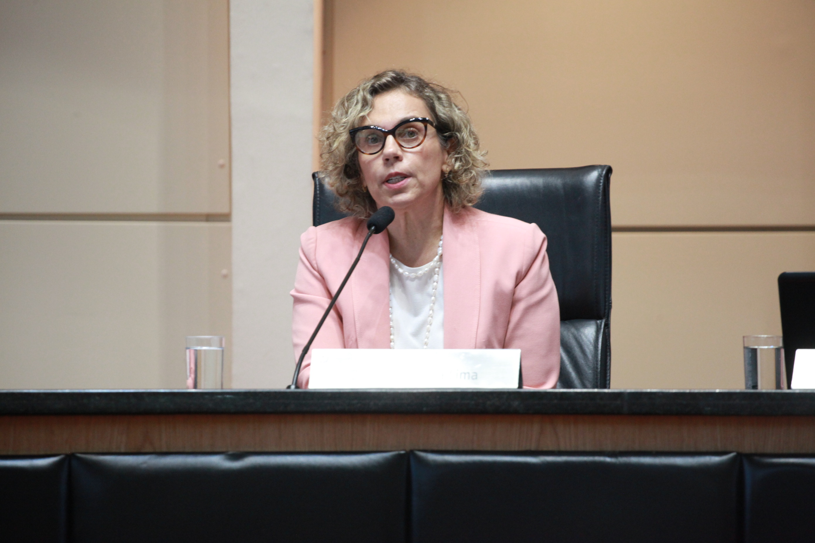 Deputada Ana Paula Lima (PT)