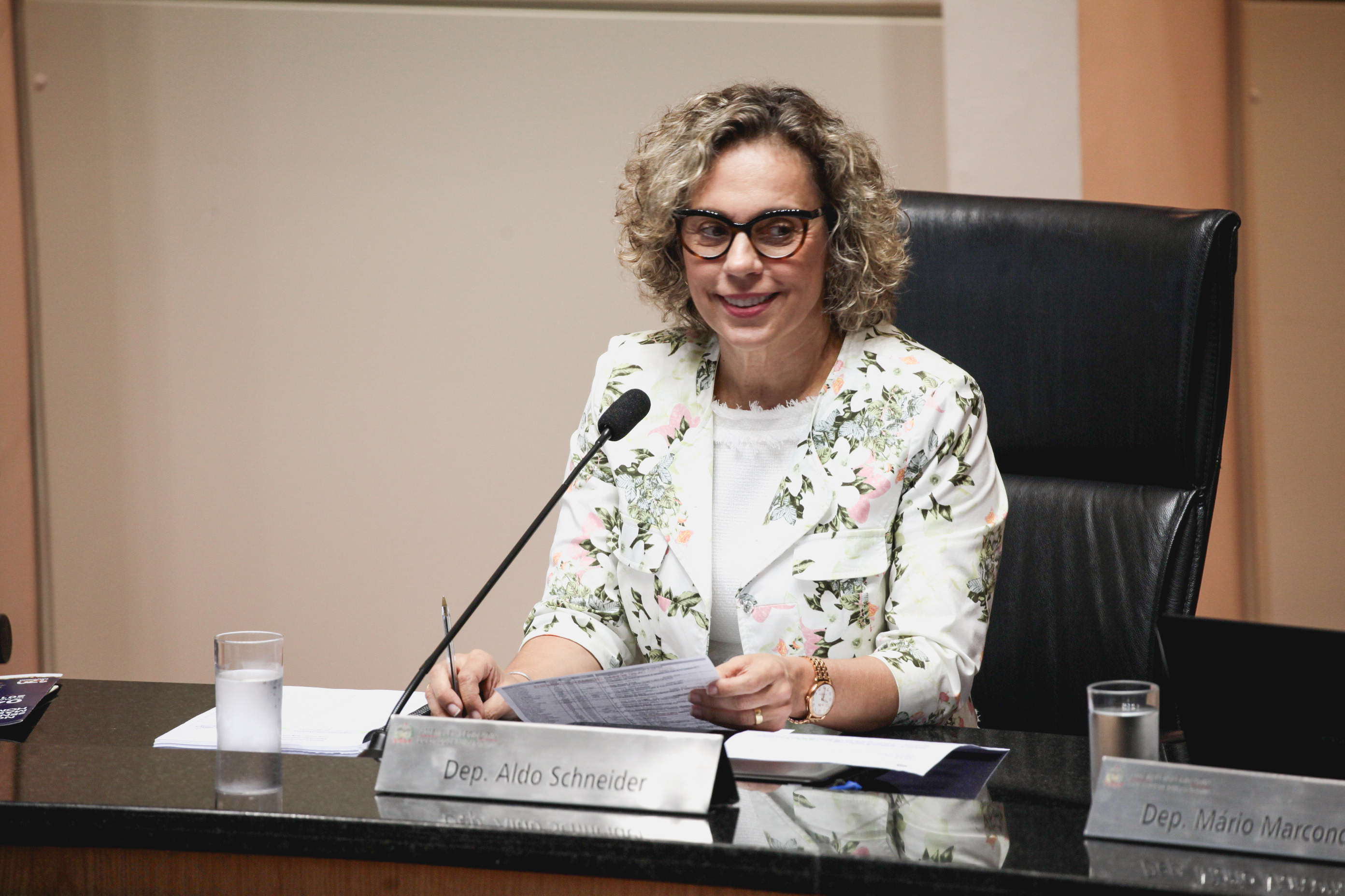 Deputada Ana Paula Lima (PT). Sessão Ordinária.