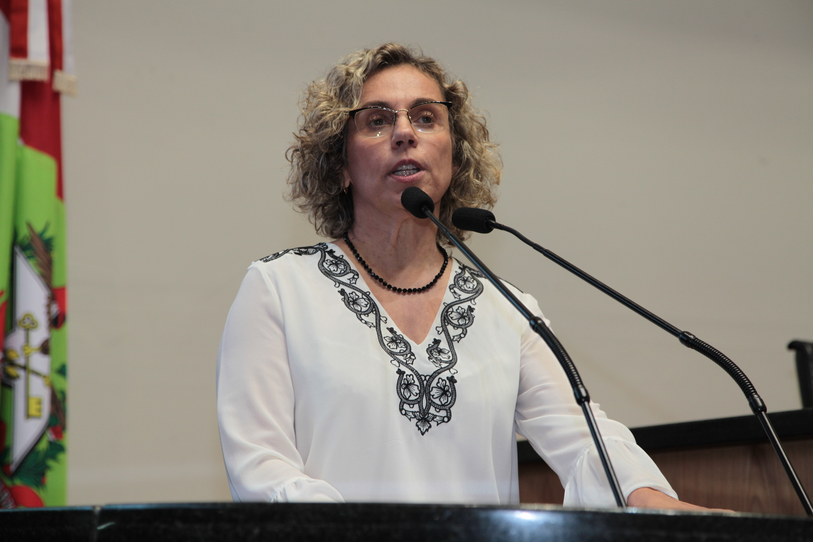 Sessão Plenária - Deputada Ama Paula Lima (PT)