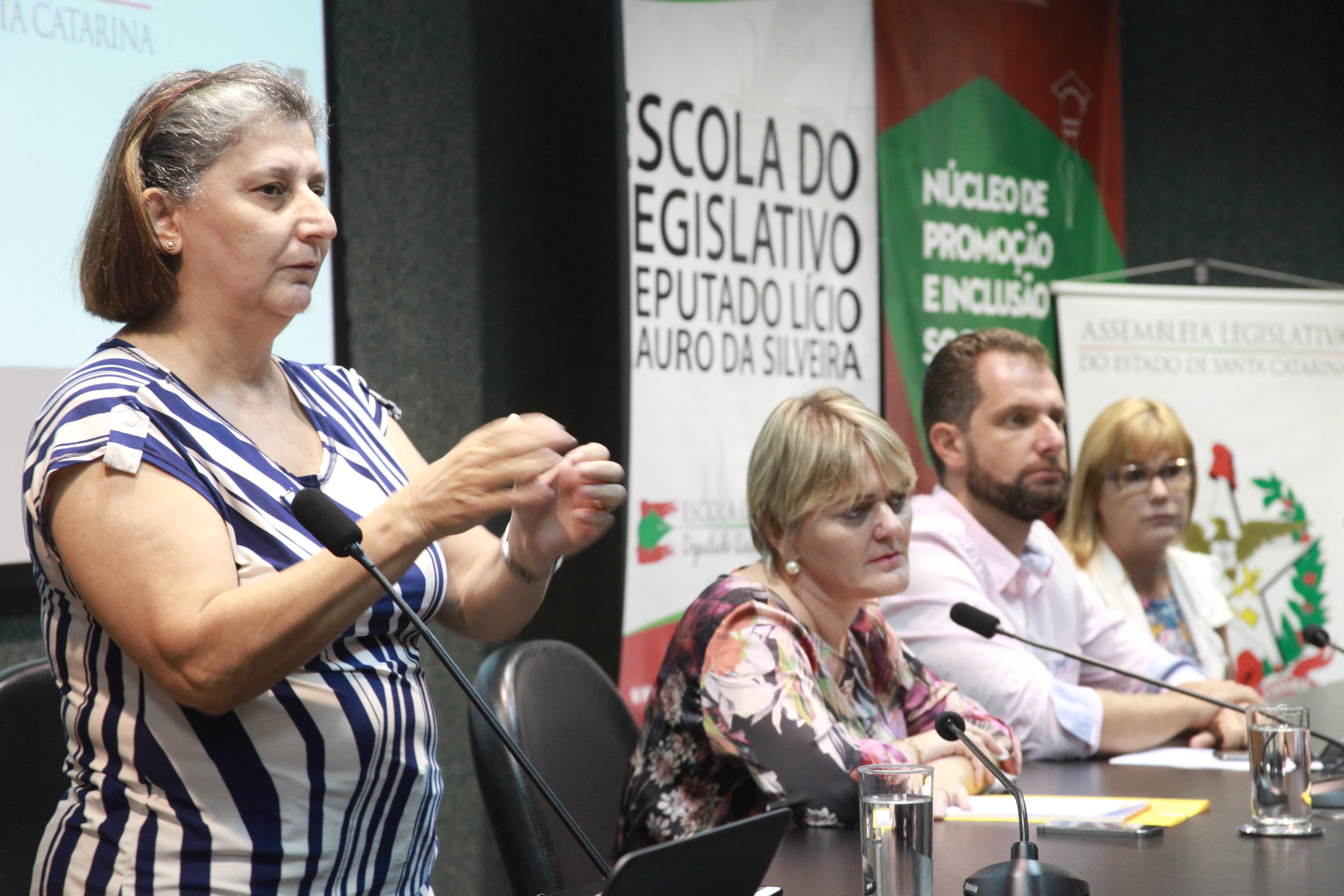 Seminário de Acessibilidade de Direito da Pessoa Surda