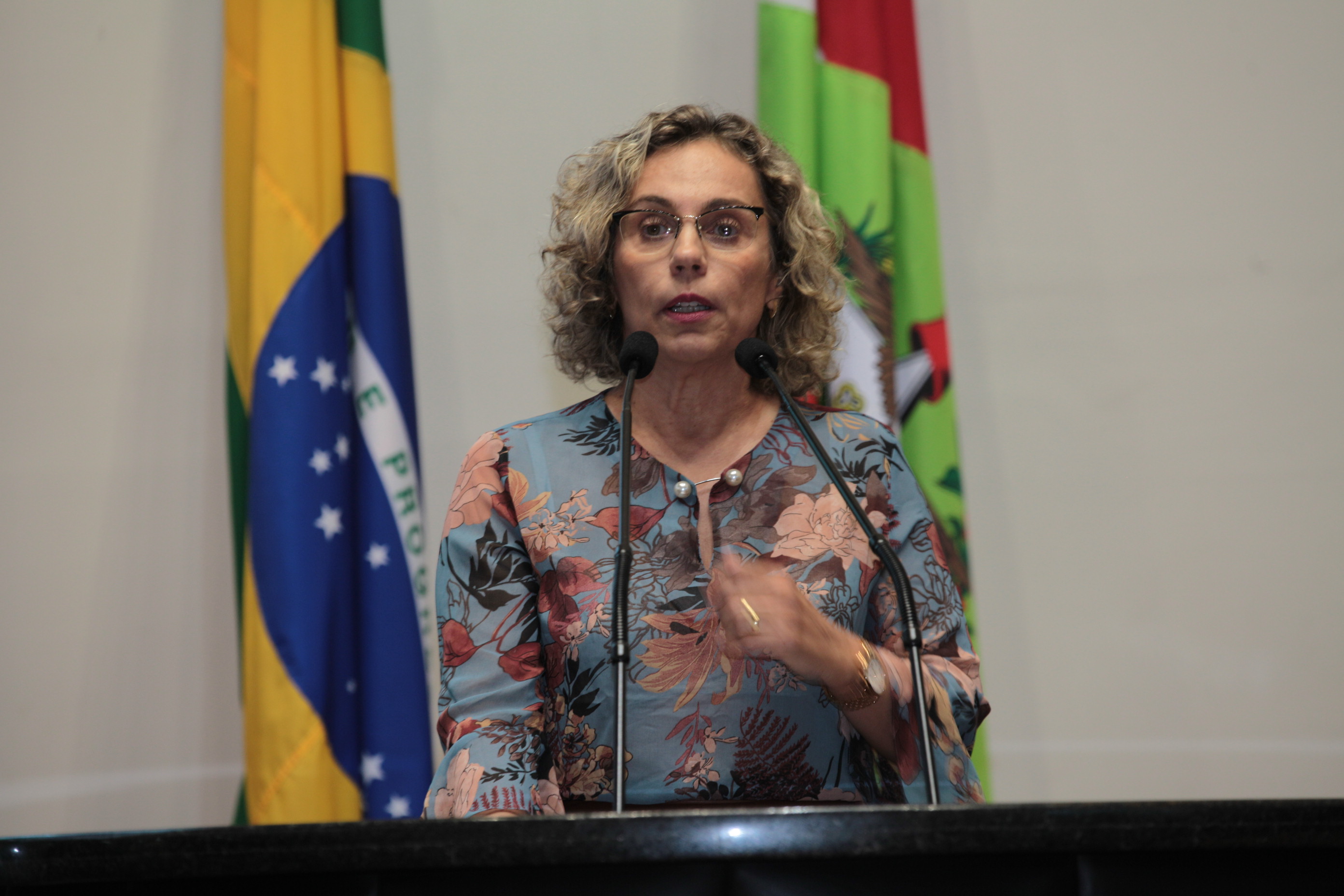 Sessão Plenária