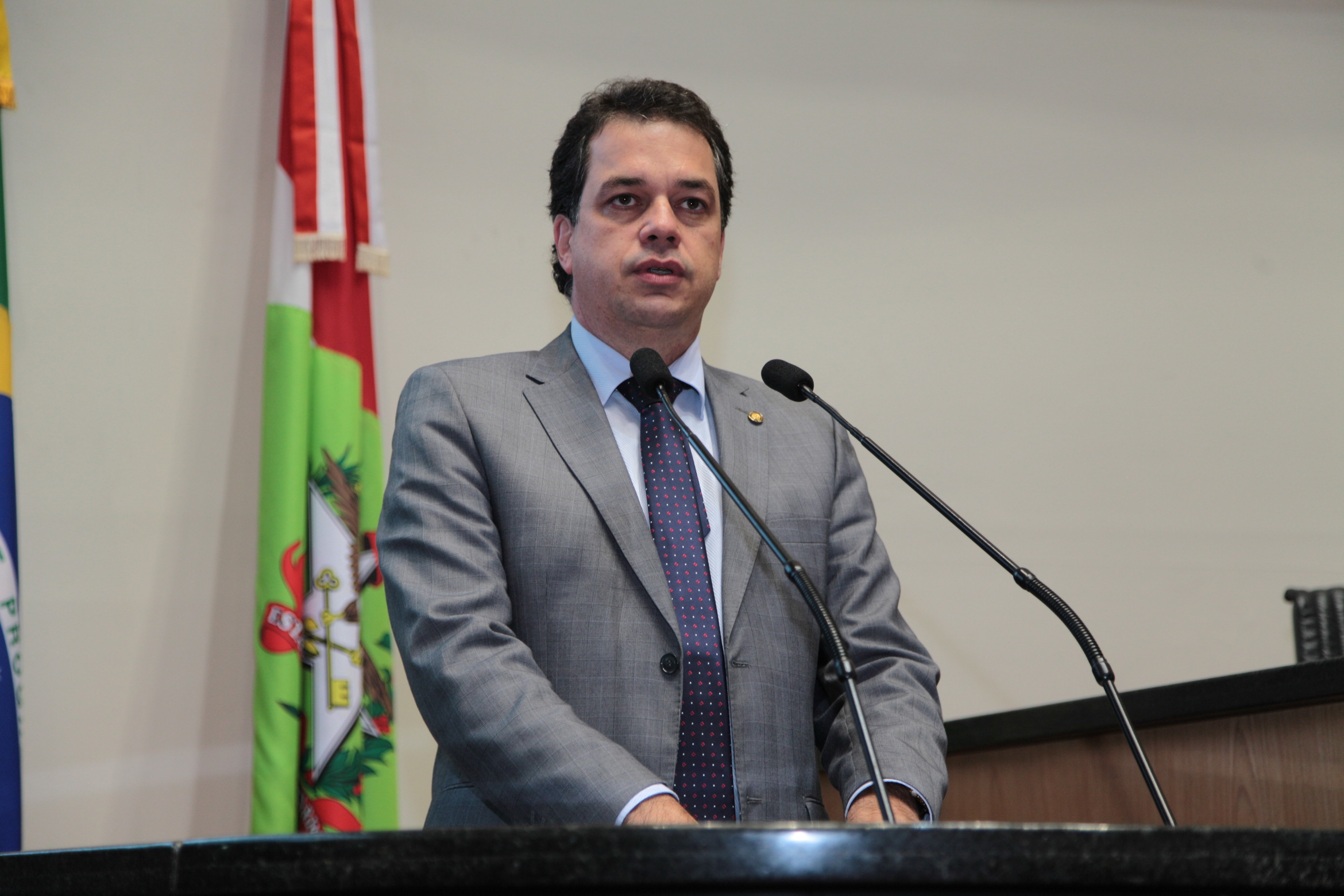 Sessão Plenária- Deputado Rodrigo Minotto (PDT)