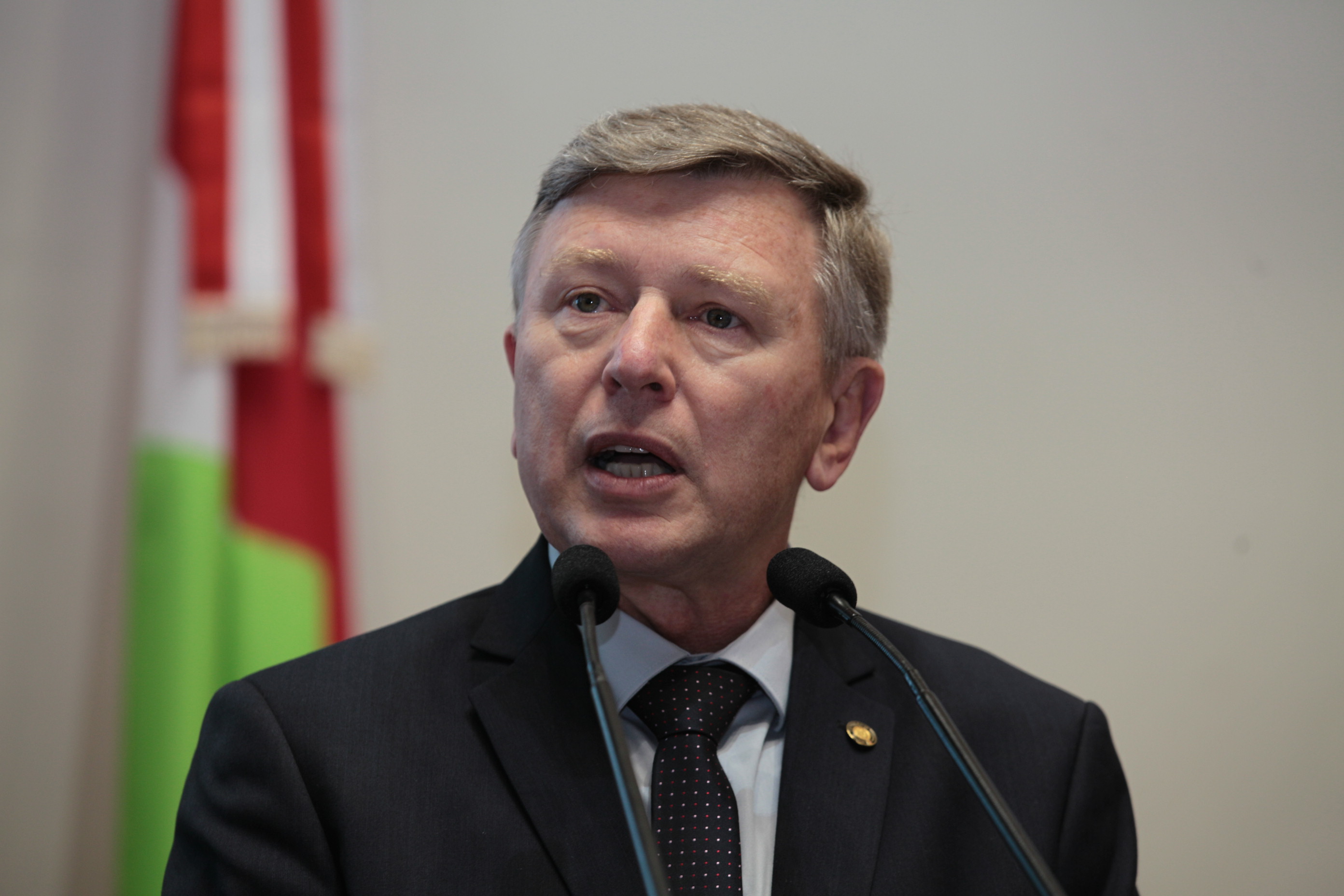 Sessão Plenária - Deputado Milton Scheffer (PP)