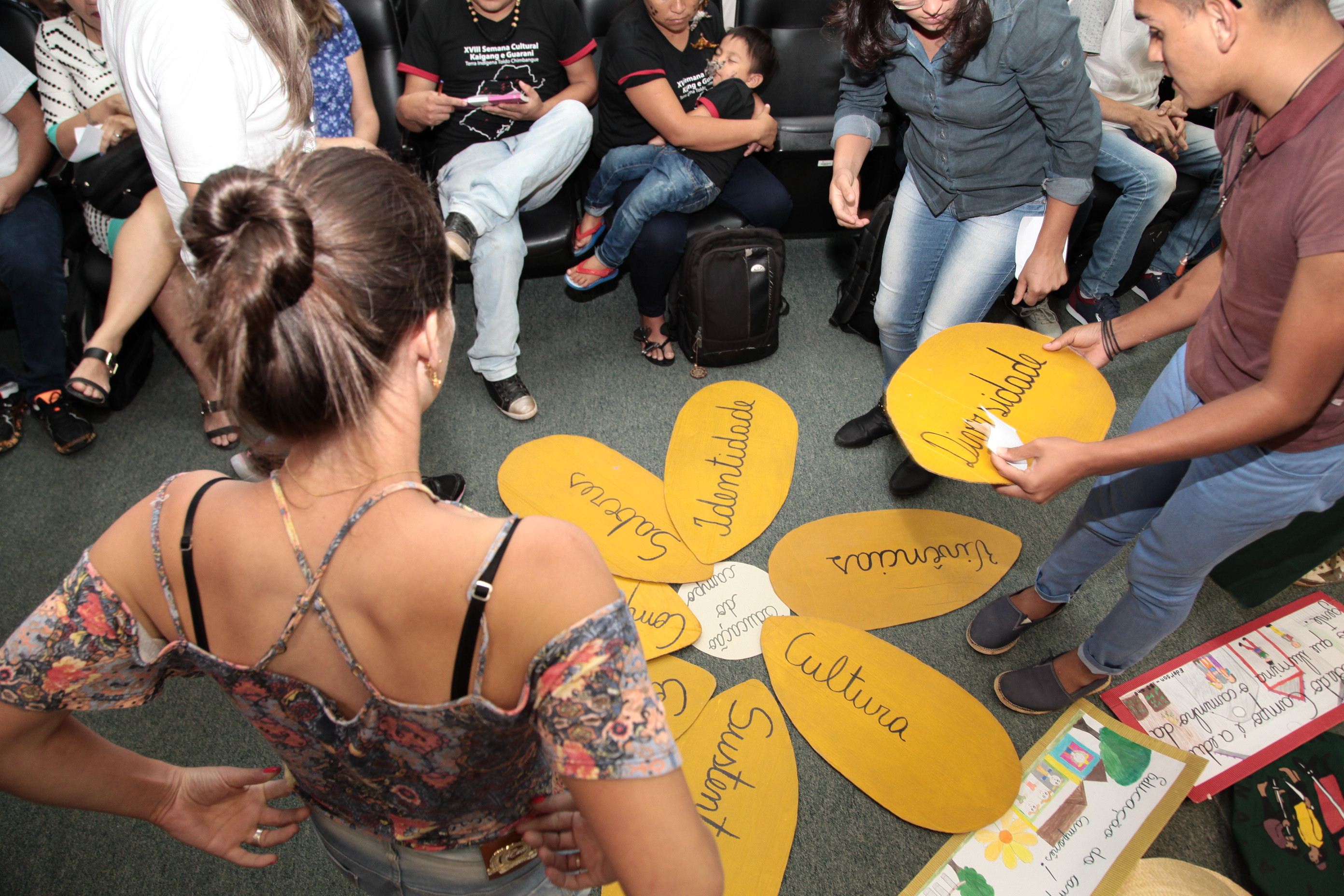 Comissão de Educação Promove Audiência Pública para Discutir a Educação no Campo.