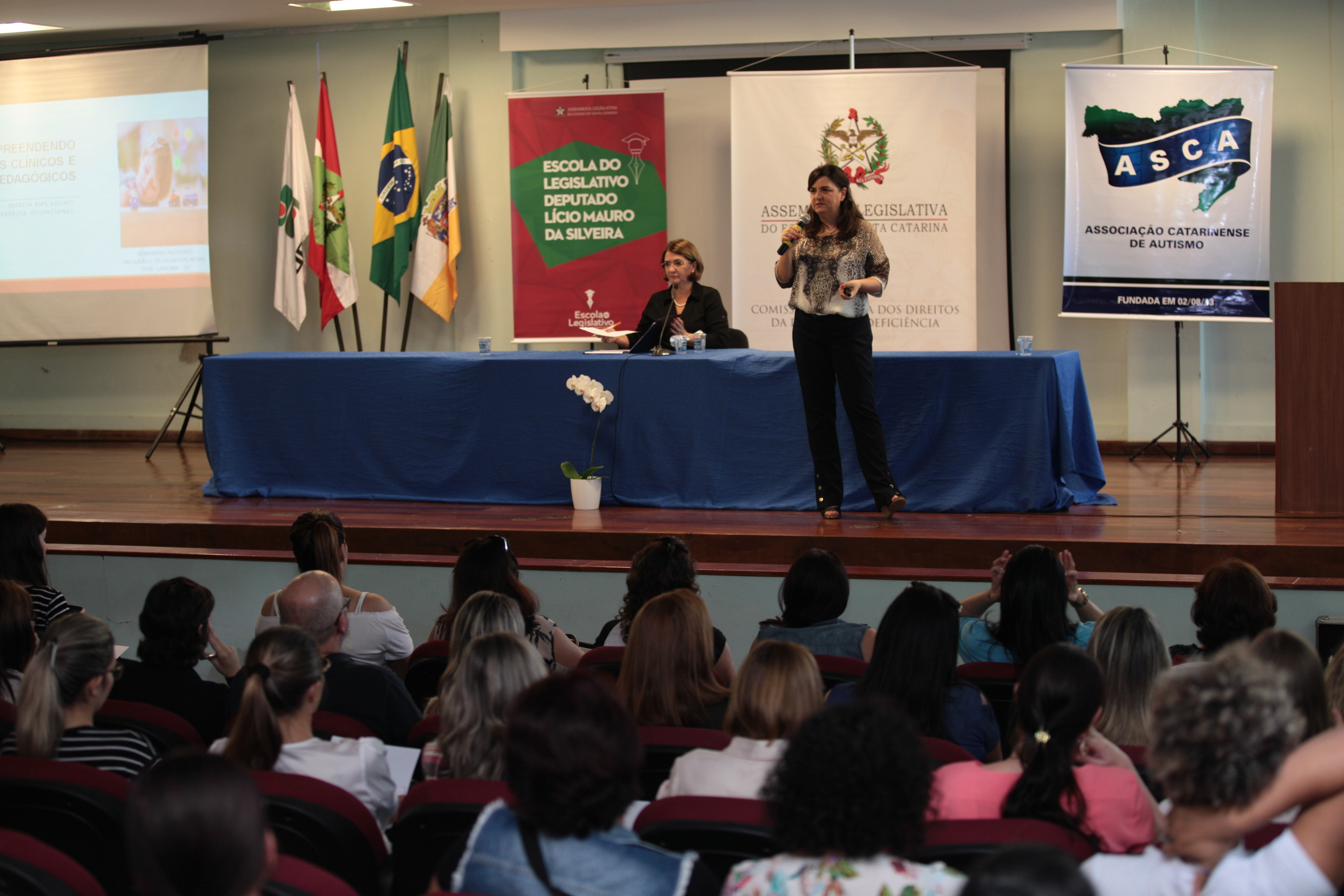 Seminário - Autismo, Inclusão e os Desafios Atuais