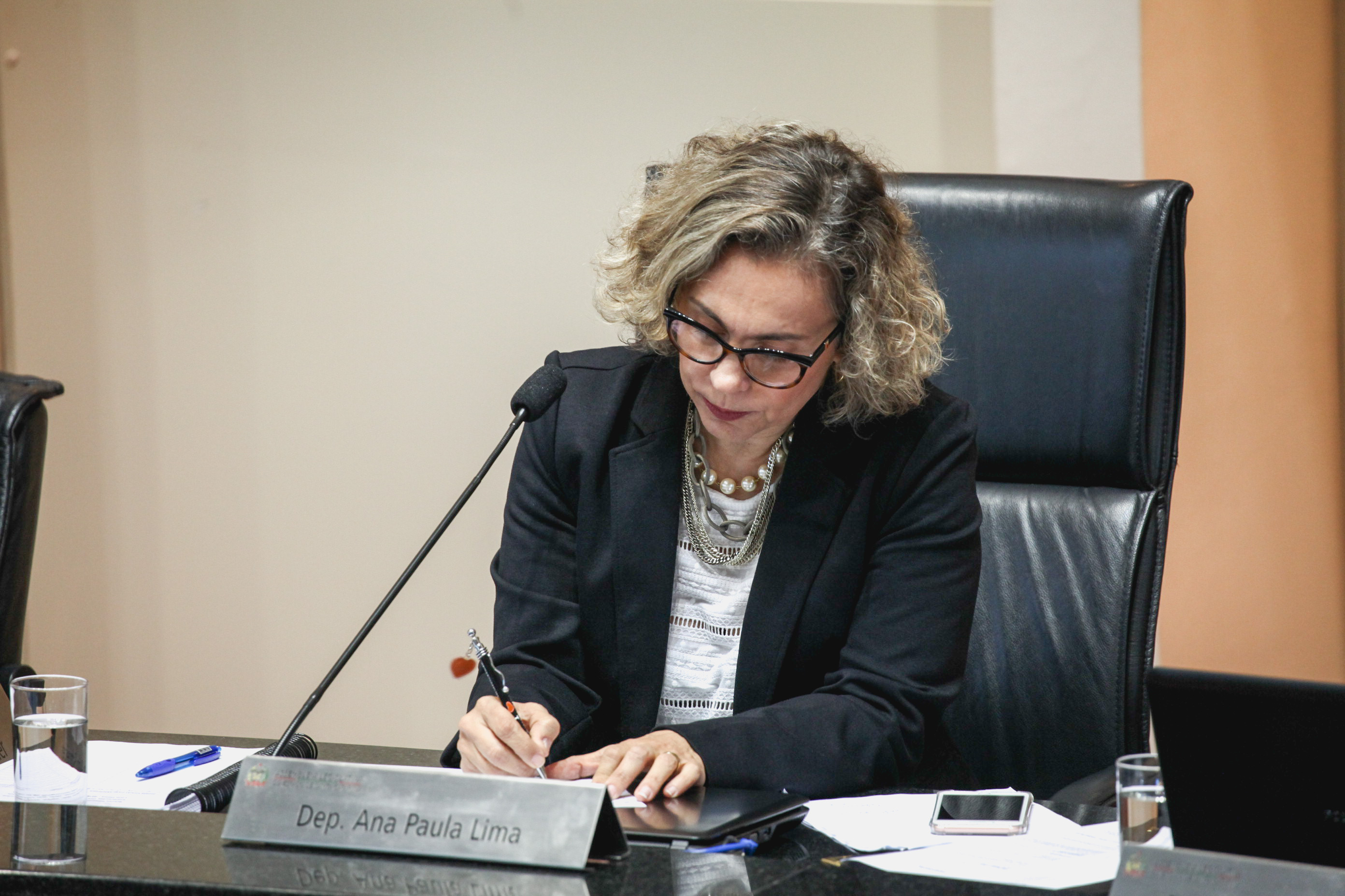 Deputada Ana Paula Lima (PT). Sessão Ordinária.
