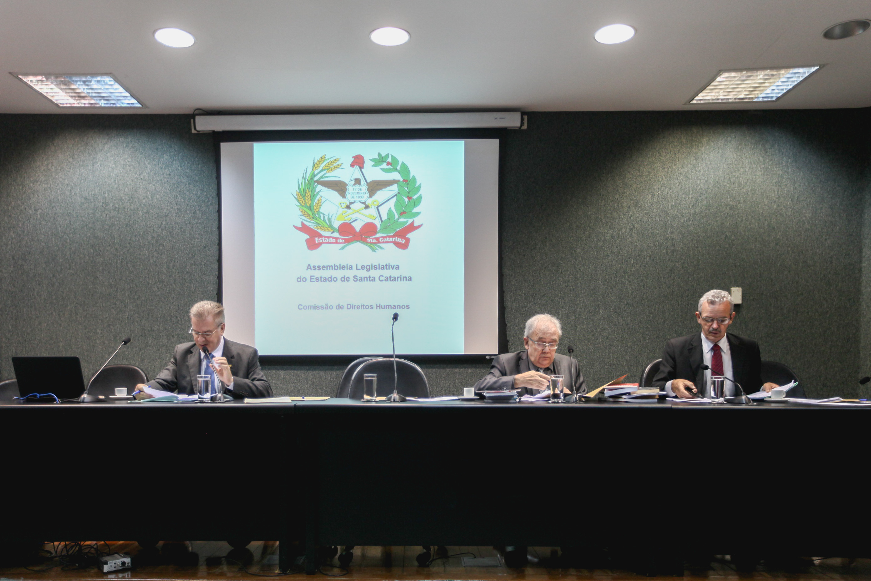 Comissão de Direitos Humanos