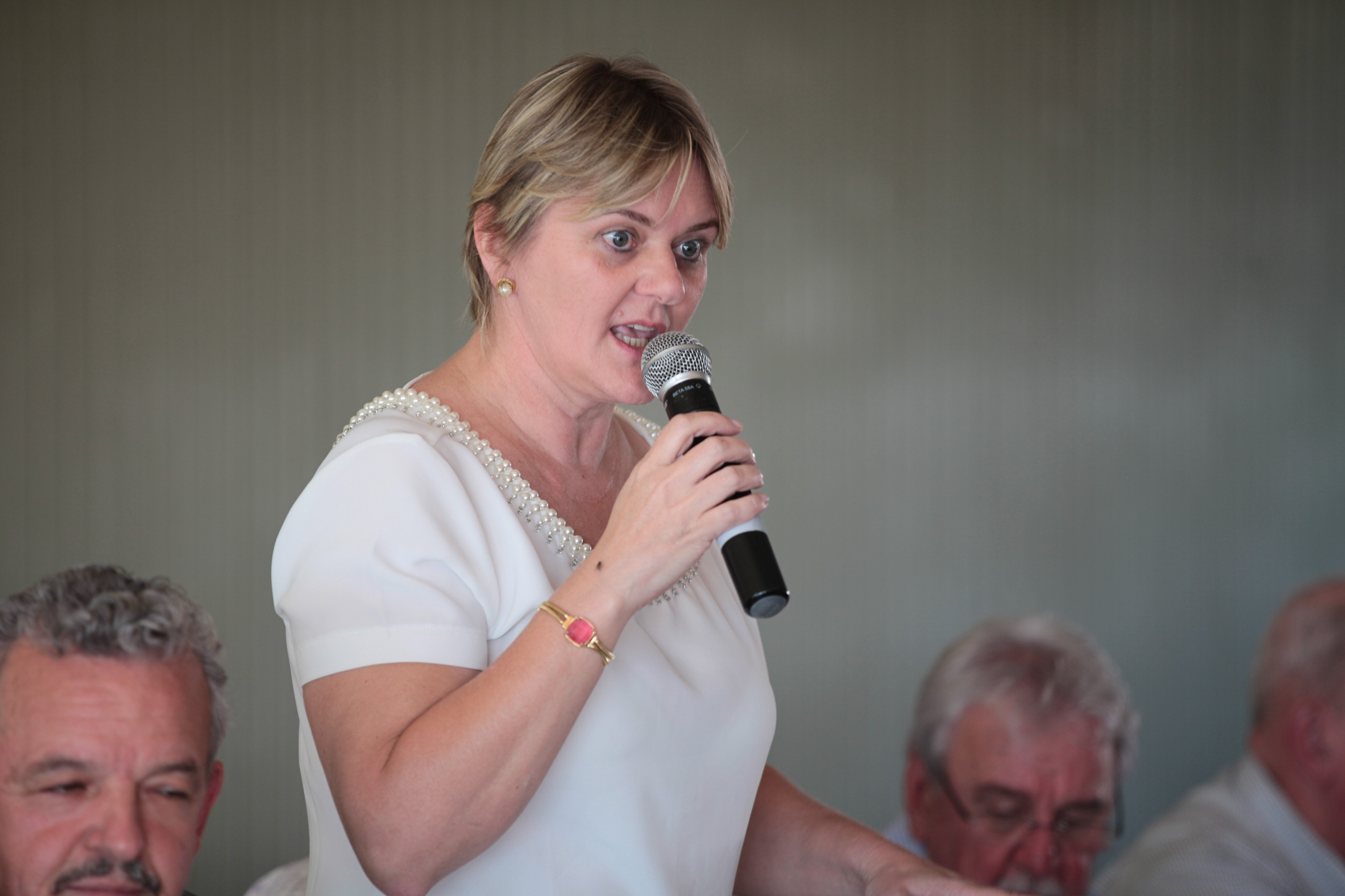 Audiência Pública em Pinhalzinho - Cadeia Produtiva do Leite em Santa Catarina - Deputada Luciane Carminatti (PT)
