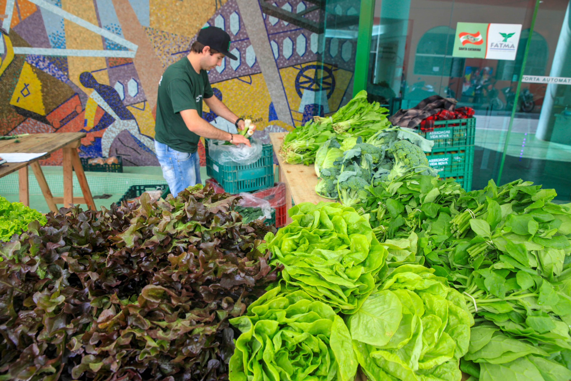 Governo de SC propõe normas para defesa sanitária vegetal