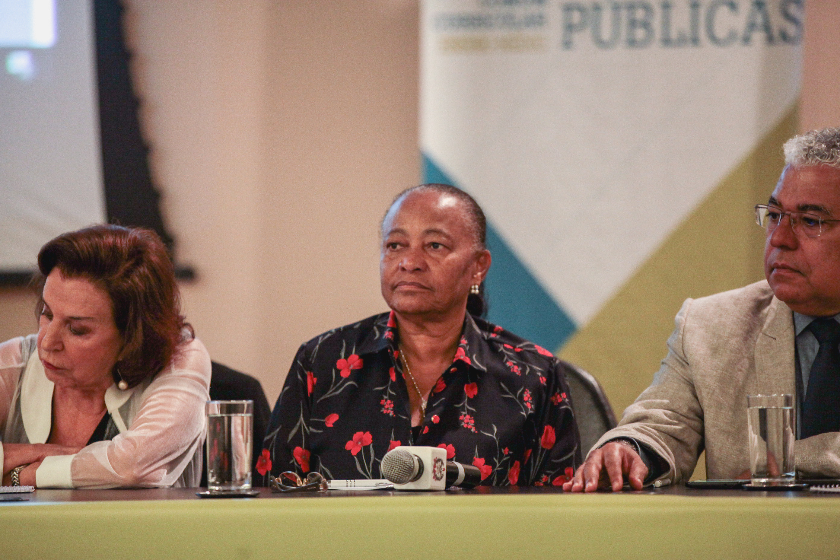 Audiência Pública: Base Nacional Comum Curricular.