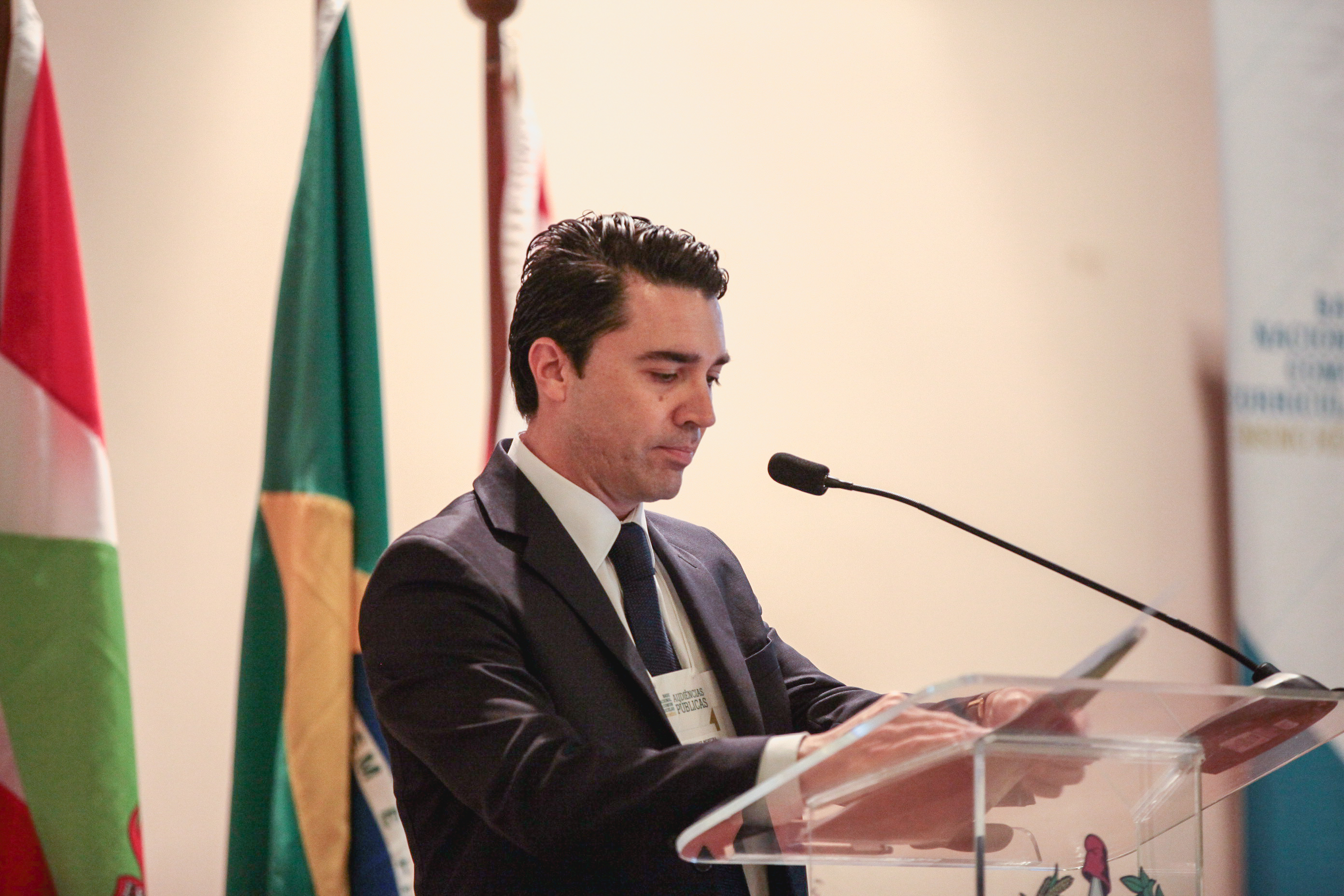 Audiência Pública: Base Nacional Comum Curricular.