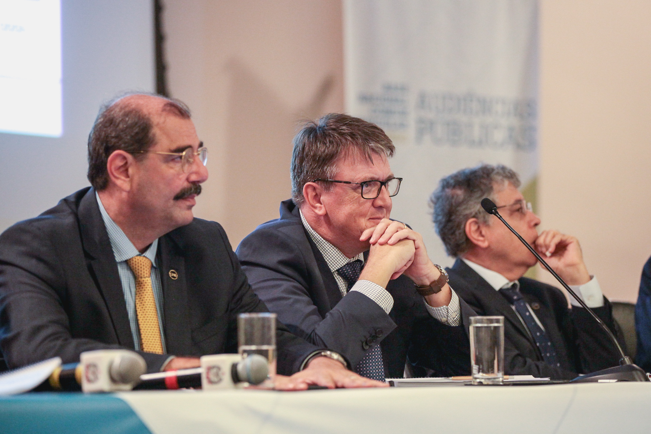 Audiência Pública: Base Nacional Comum Curricular.
