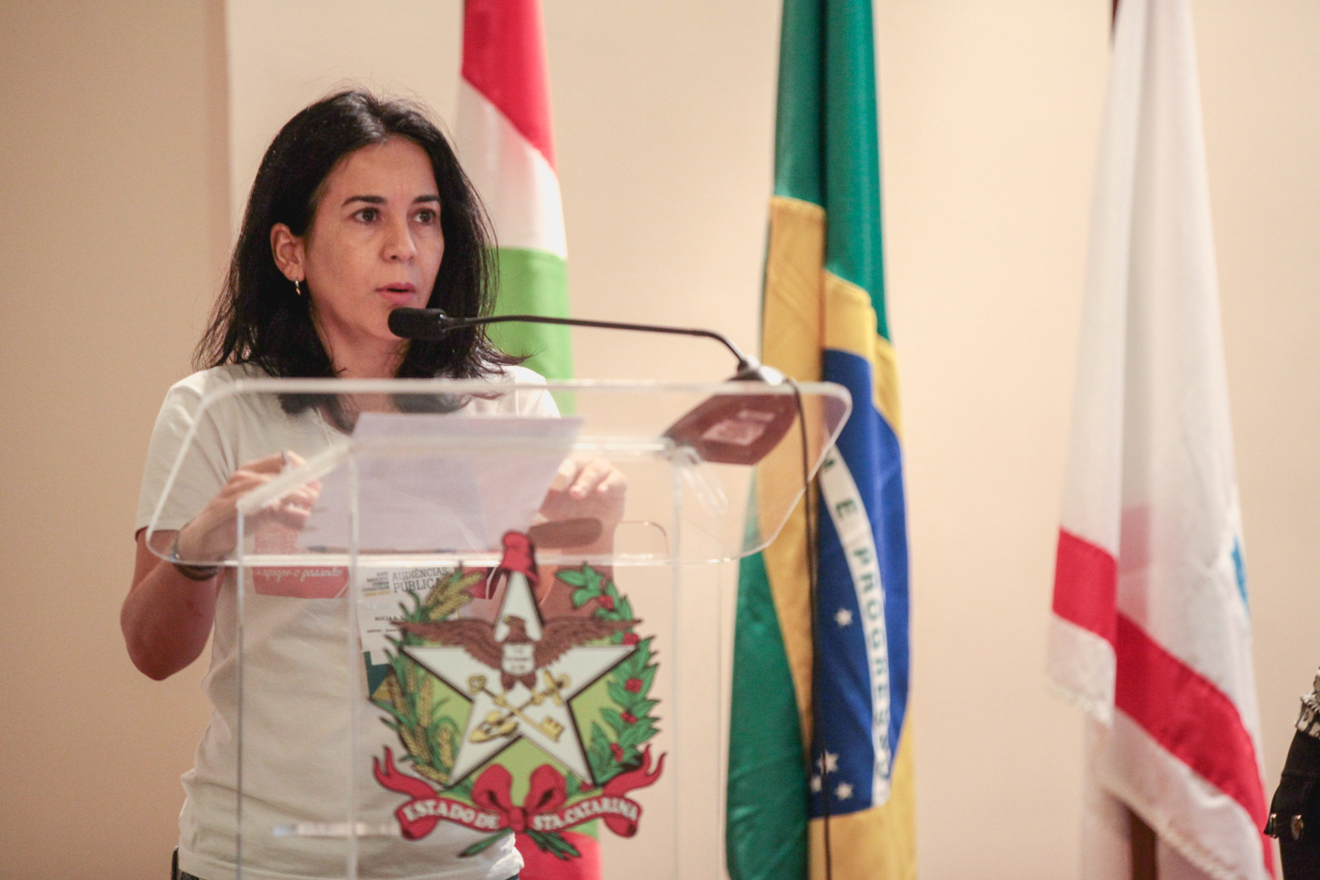 Audiência Pública: Base Nacional Comum Curricular.