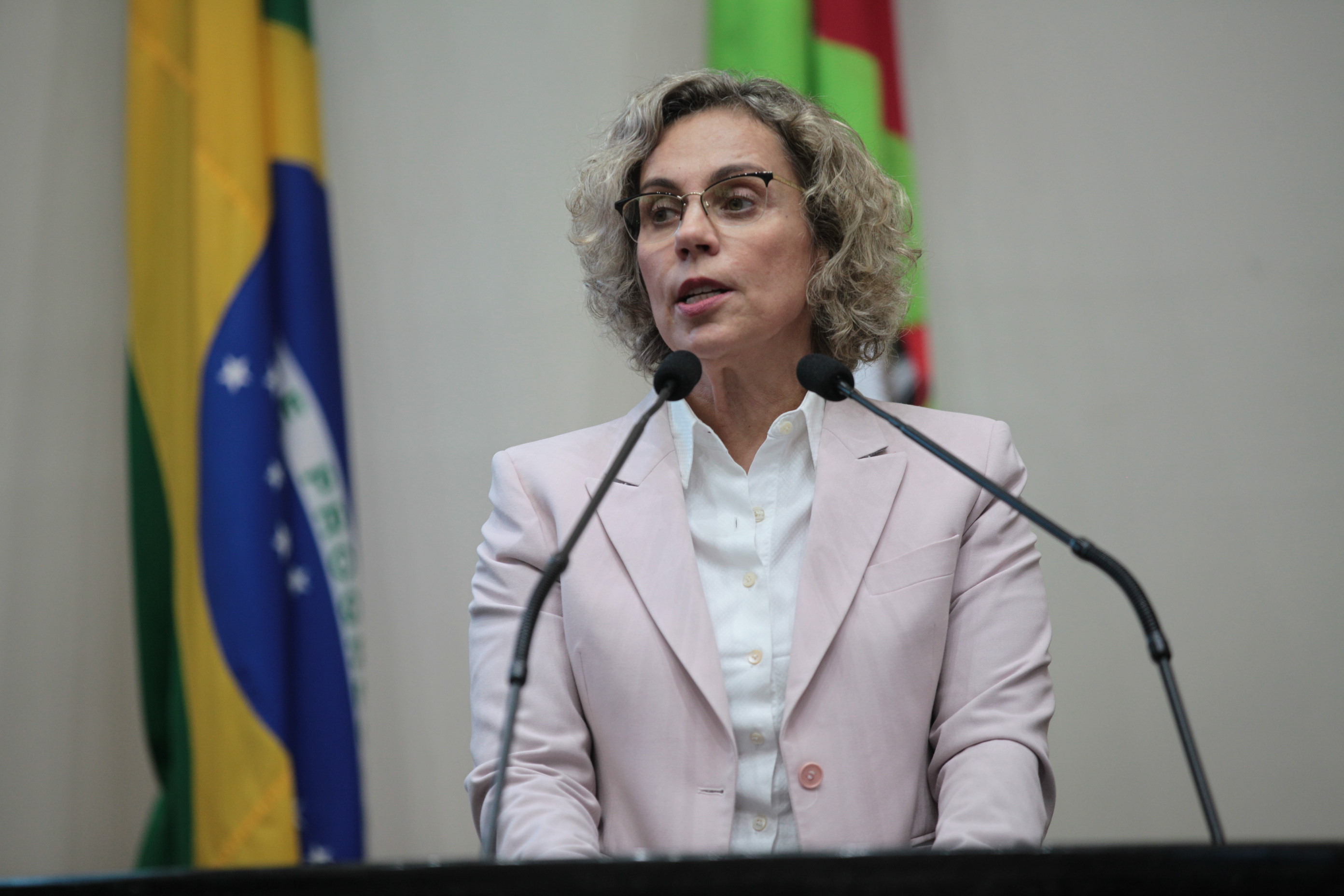 Sessão Plenária - Deputada Ana Paula Lima (PT)