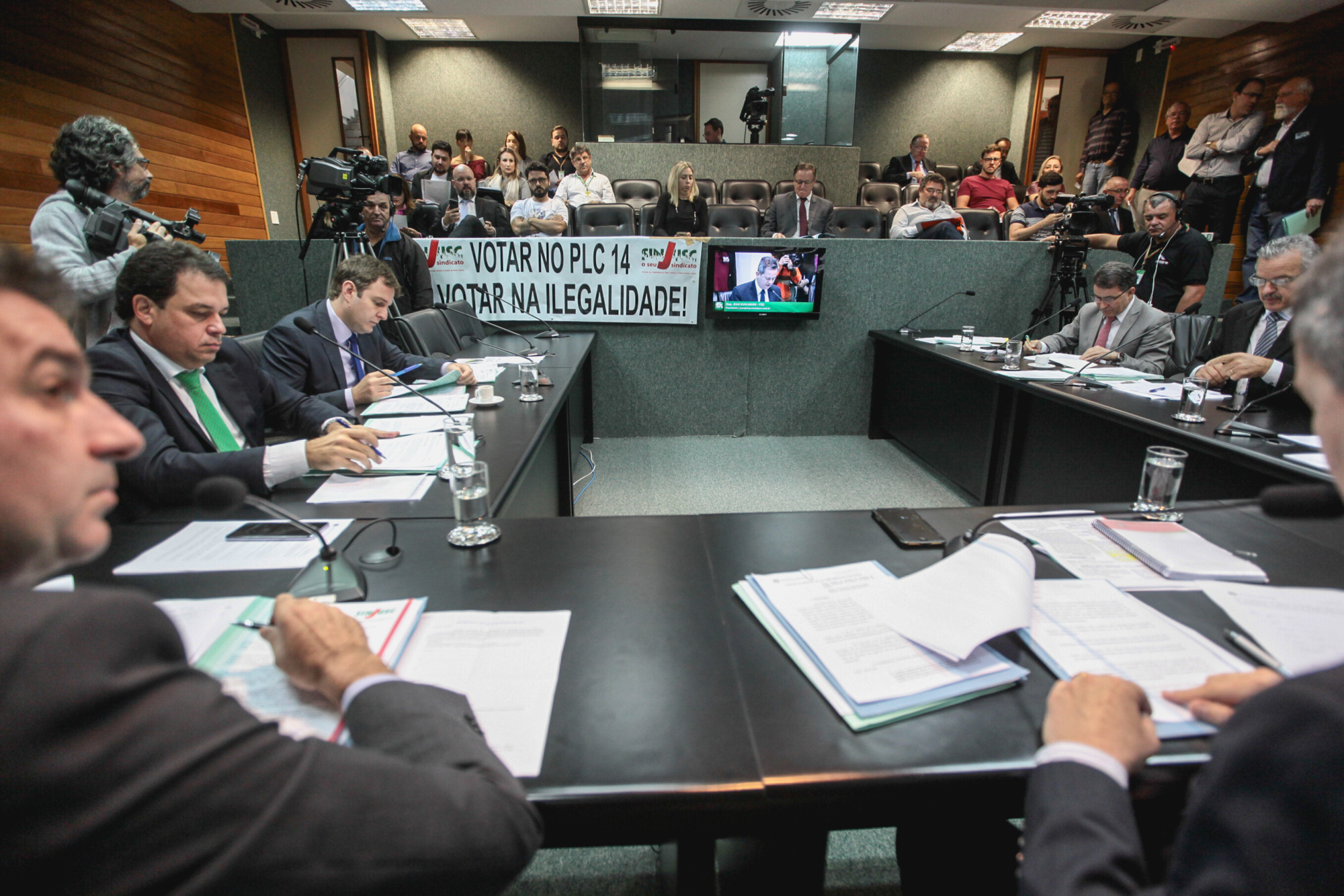 CCJ aprova projeto que proíbe cultivo de árvore tóxica para as abelhas