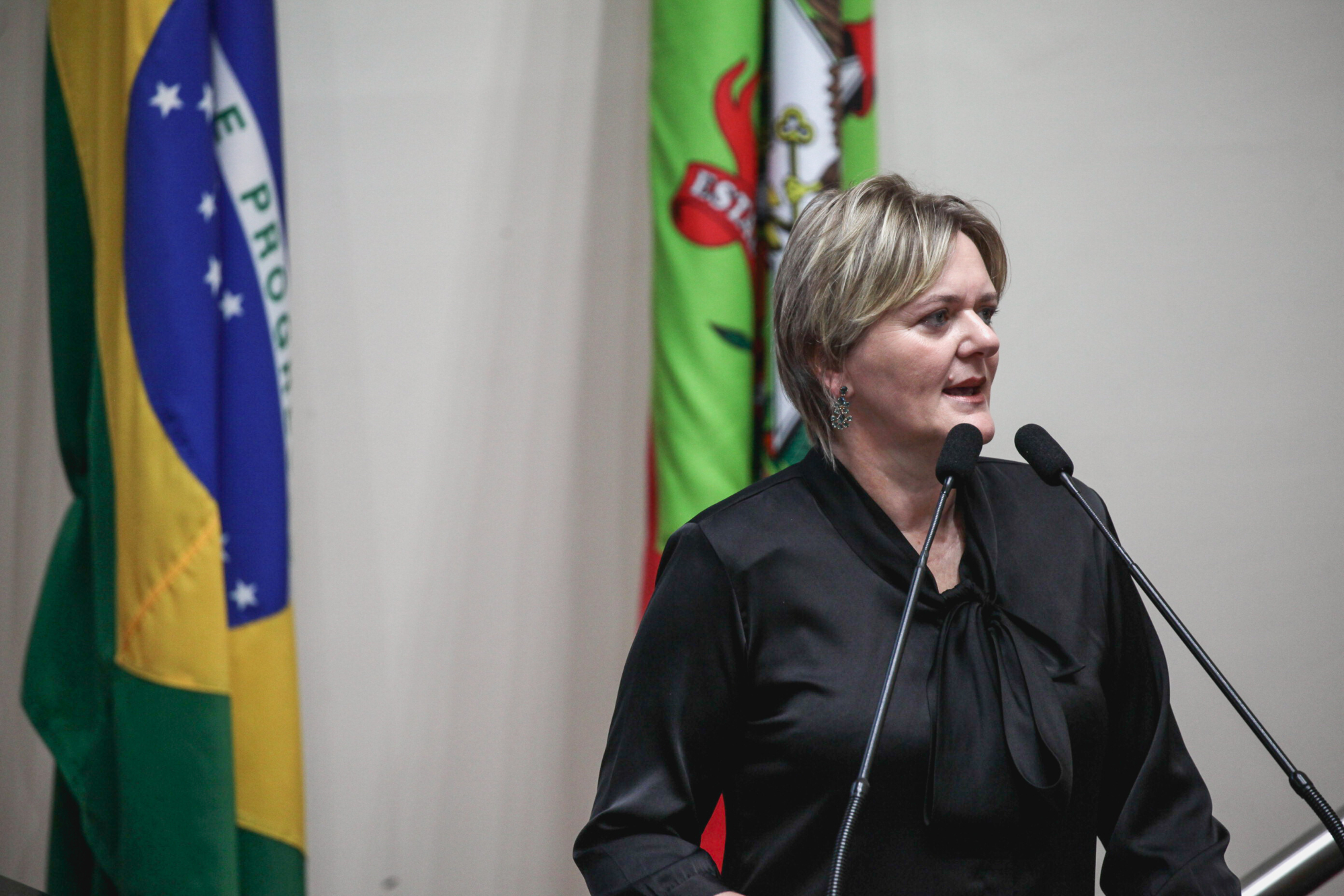 Deputada defende Câmara Especial Regional de Chapecó