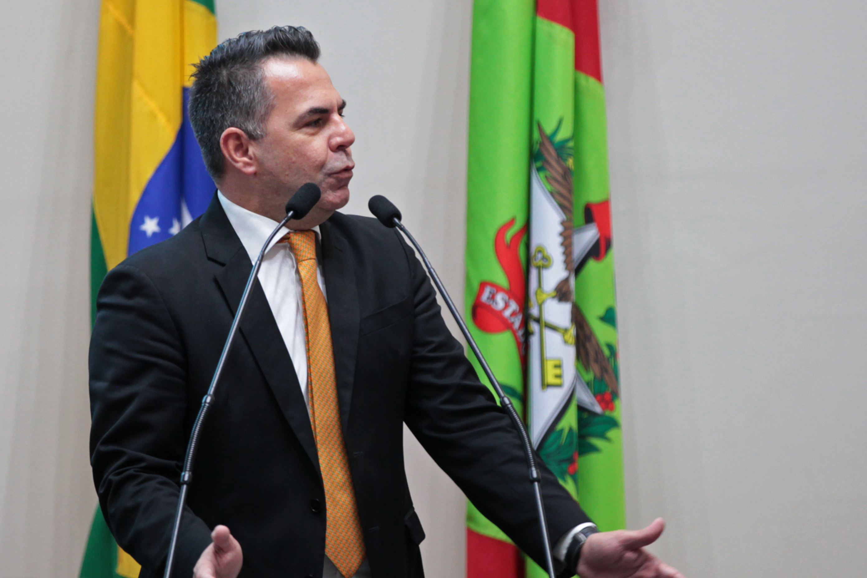 Deputado Luis Fernando Vampiro (MDB). Sessão Ordinária.
