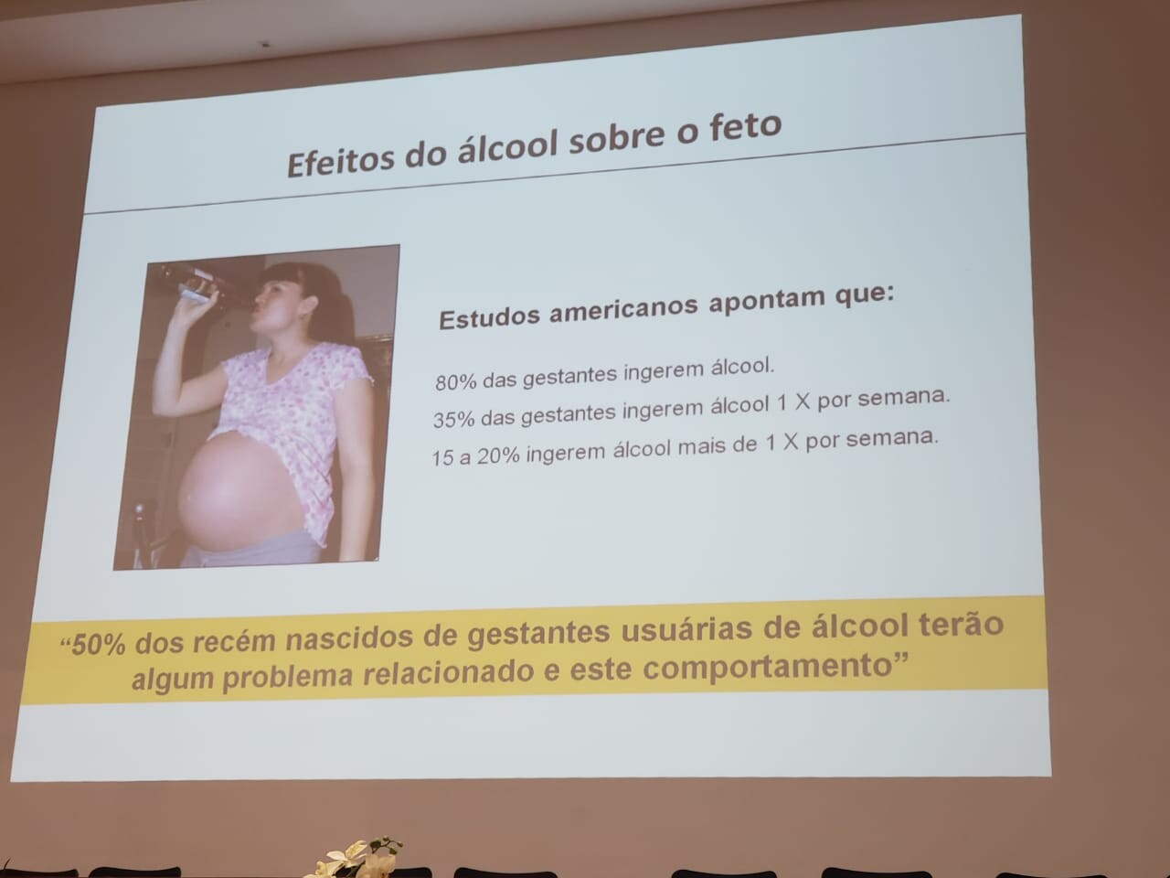 Evento foi realizado pela Alesc, com apoio da Federação das Apaes, na Unoesc. FOTO: Vandro Welter/Divulgação