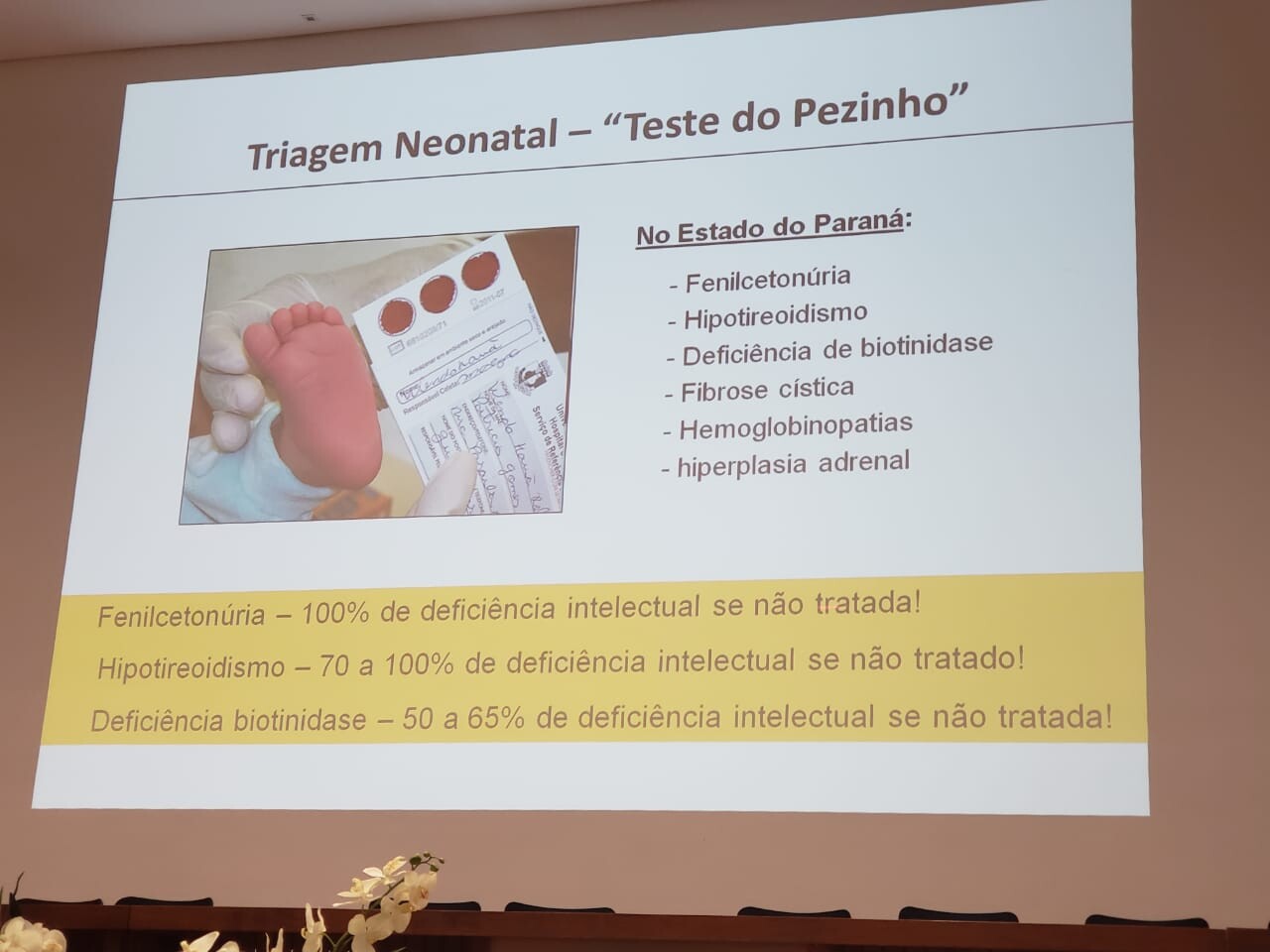 Evento foi realizado pela Alesc, com apoio da Federação das Apaes, na Unoesc. FOTO: Vandro Welter/Divulgação