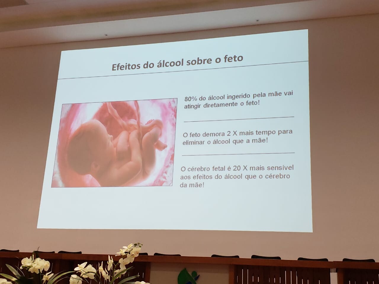 Evento foi realizado pela Alesc, com apoio da Federação das Apaes, na Unoesc. FOTO: Vandro Welter/Divulgação