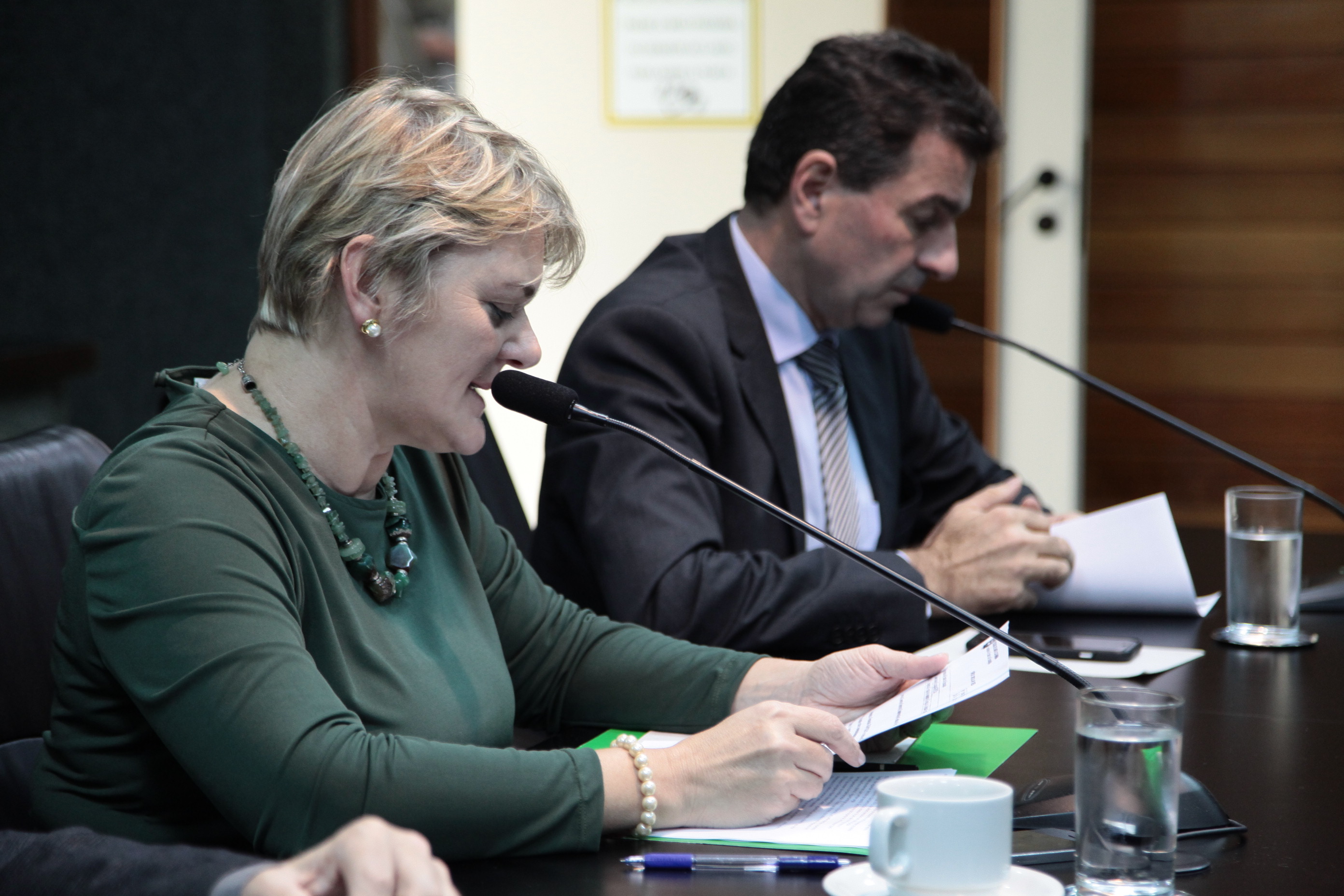 Reunião Extraordinária da Comissão de Educação.