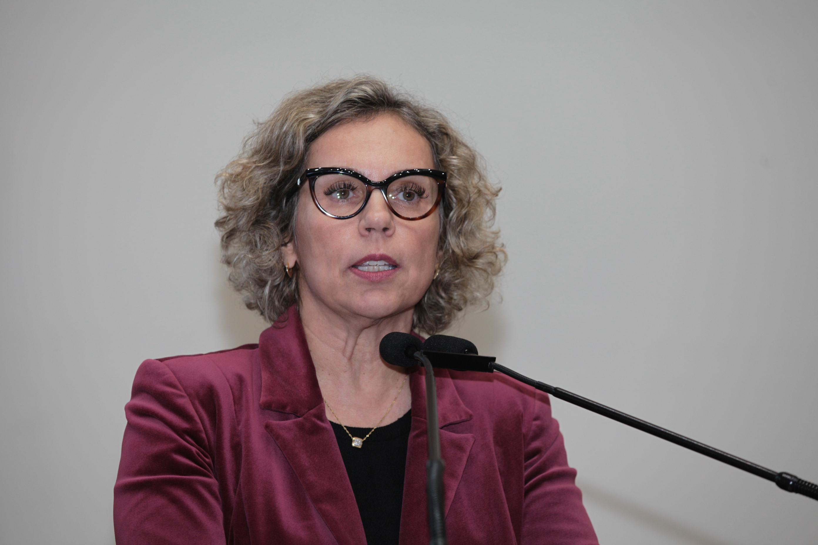 Sessão Ordinária. Deputada Ana Paula Lima (PT)