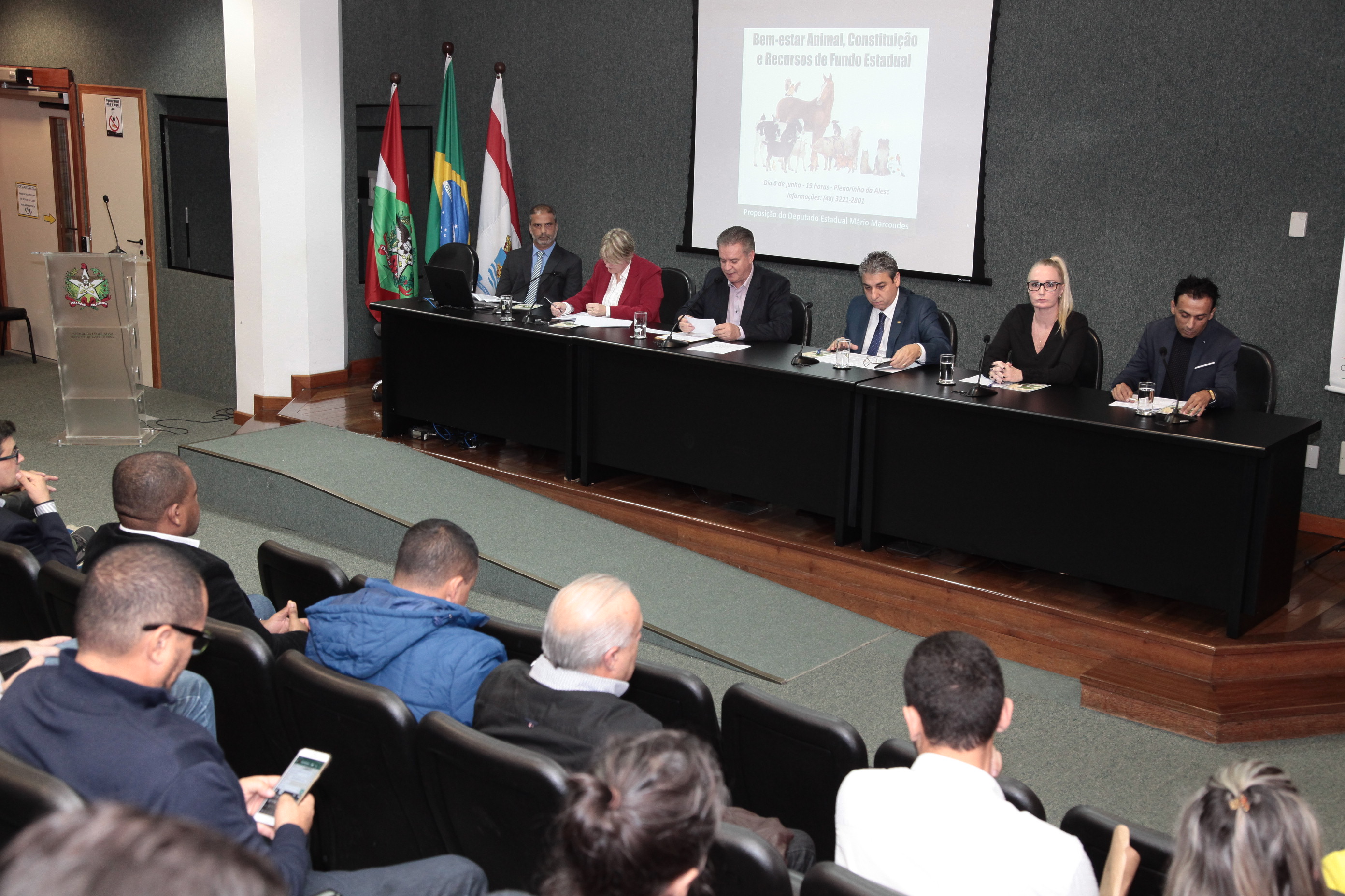Audiência Pública – Bem Estar Animal, Constituição e Recursos do Fundo Estadual