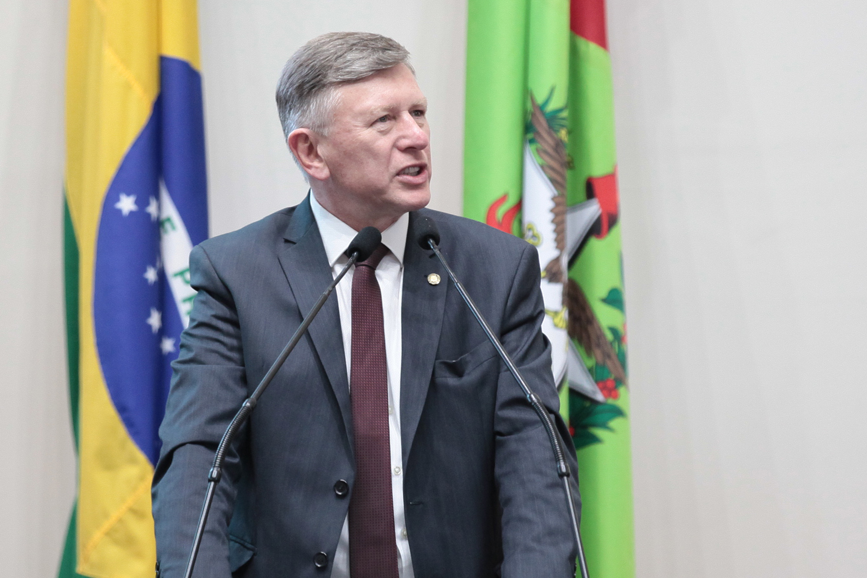 Sessão Ordinária. Deputado Milton Hobus (PSD)