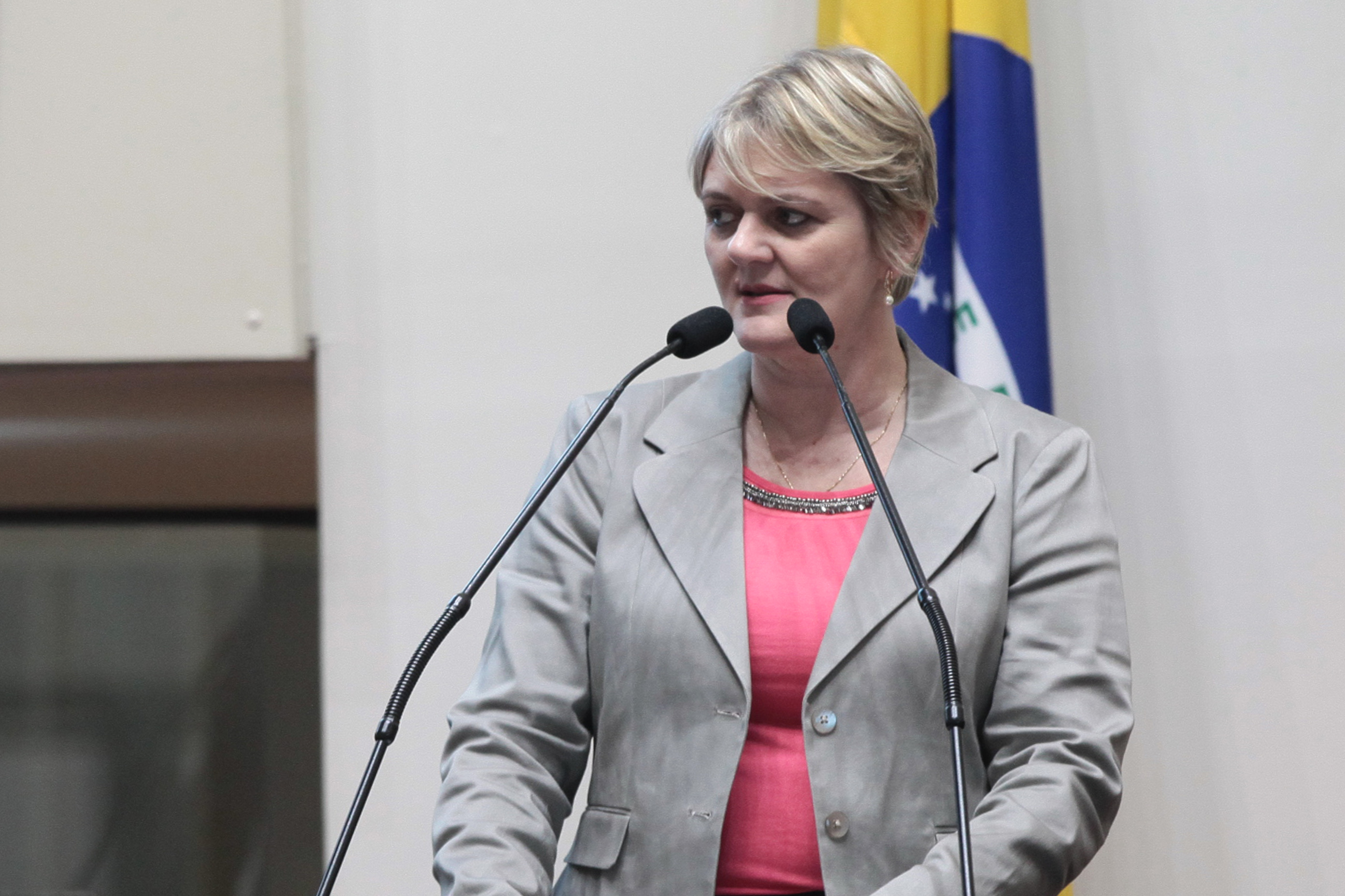 Deputada Luciane Carminatti (PT) - Sessão Ordinária
