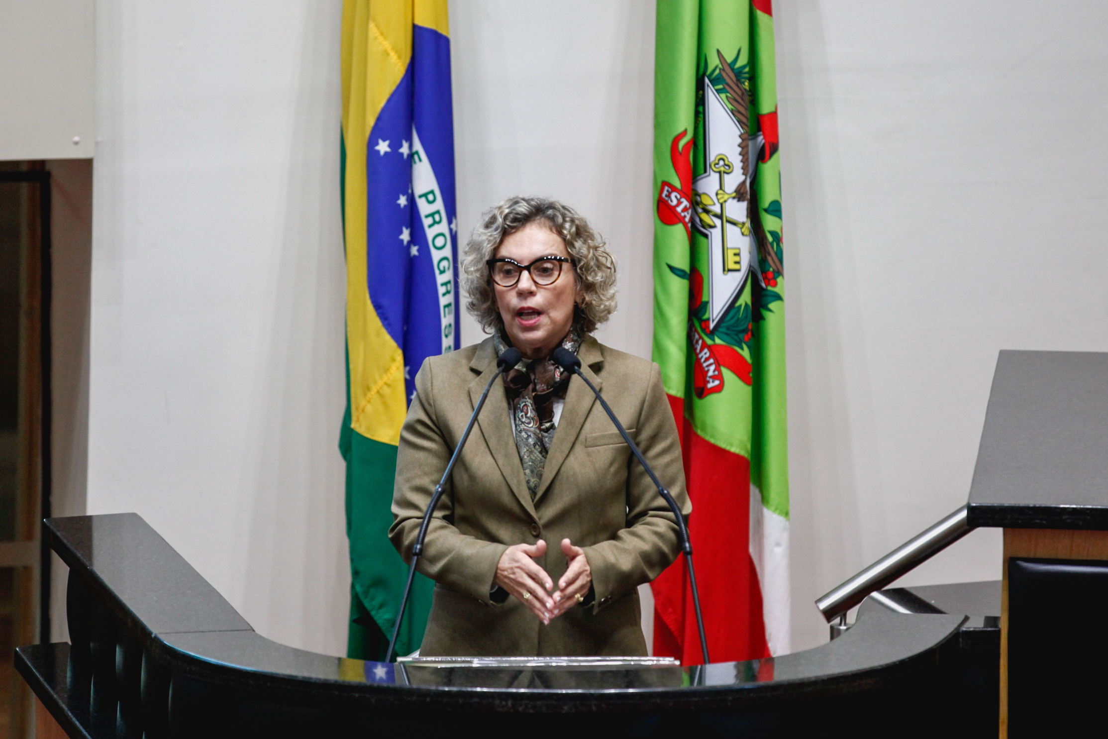 Deputada Ana Paula Lima (PT). Sessão Ordinária.