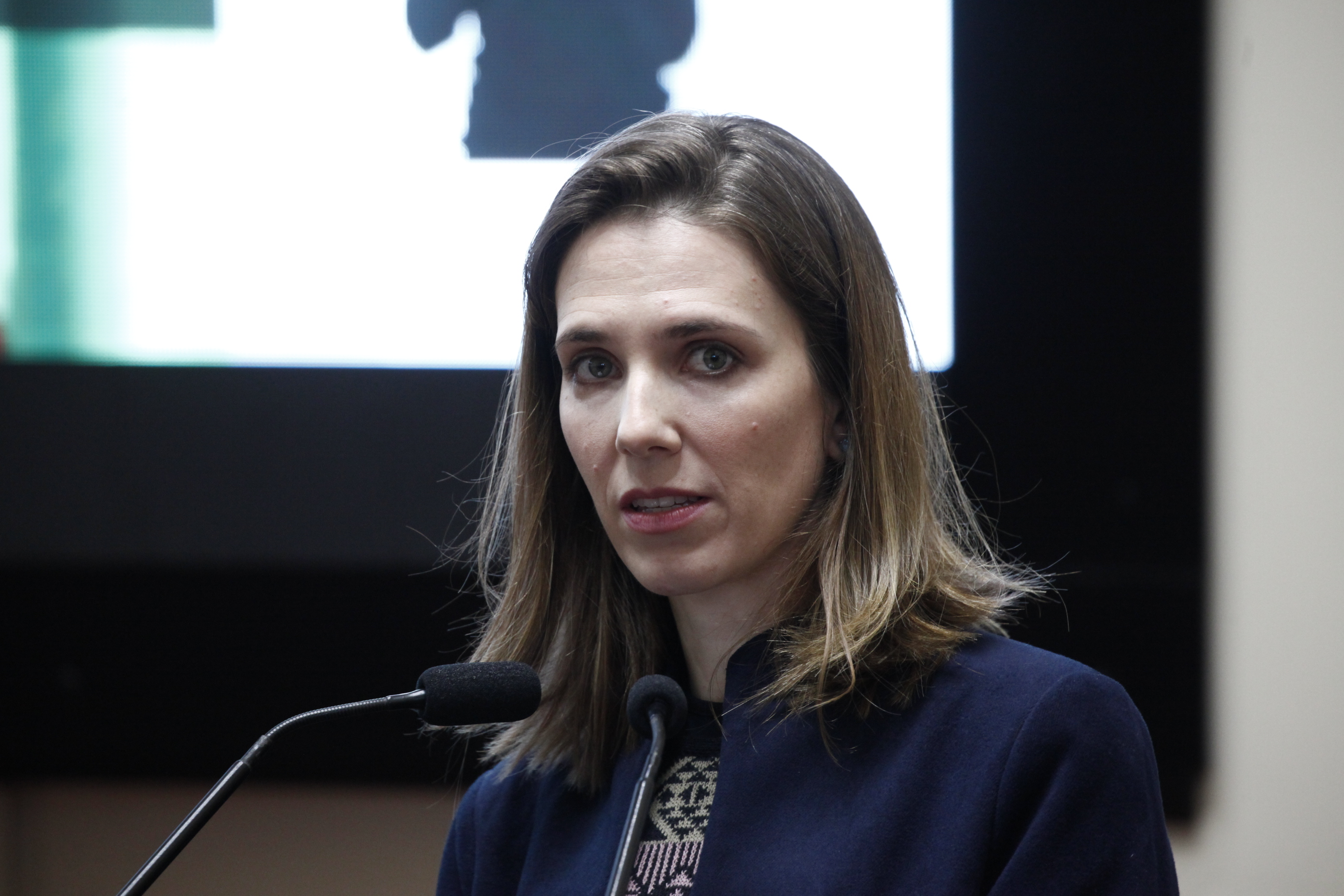 Elisângela w Schoppo Presidente Comissão mista de Responsabilidade  Social