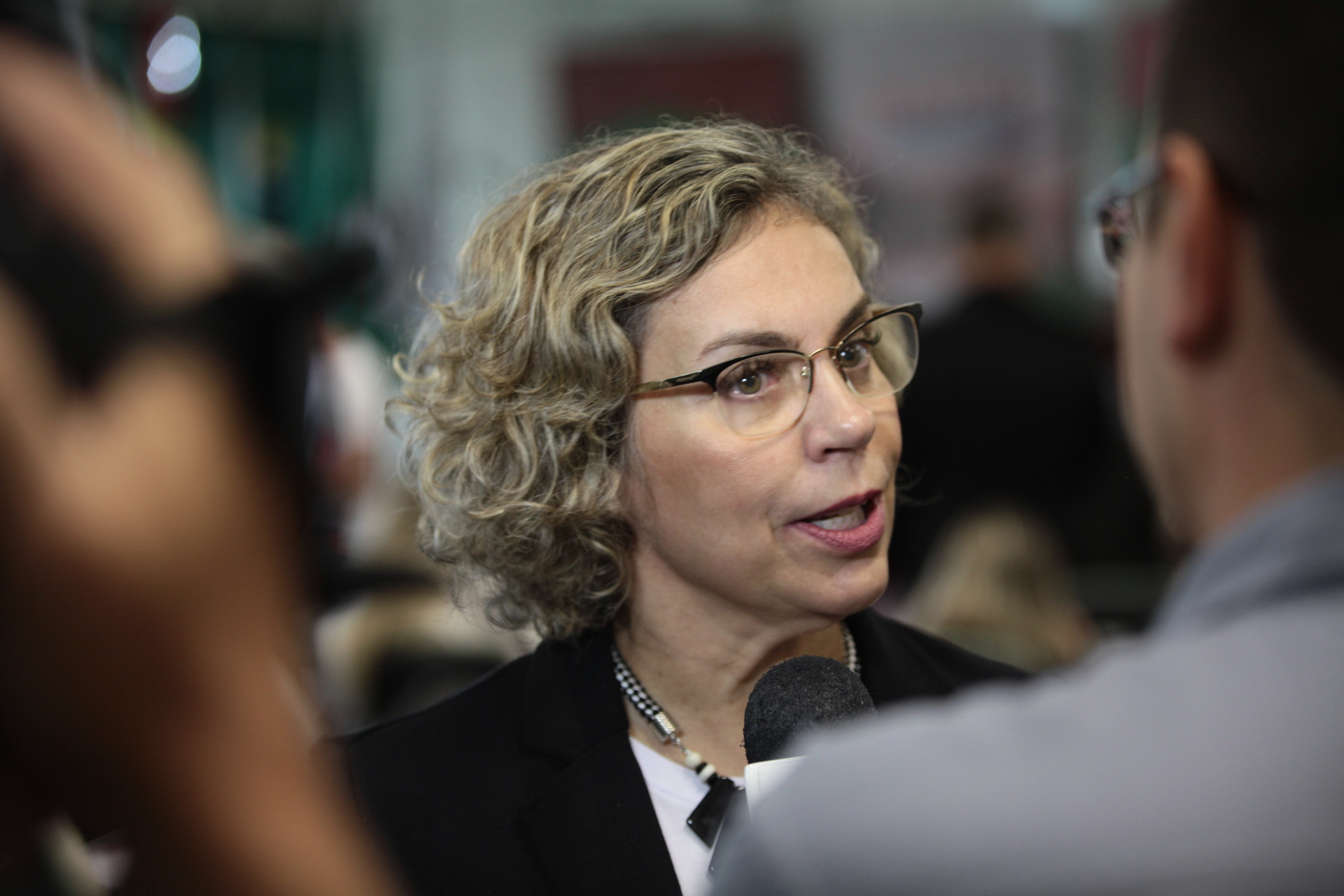 IV Congresso Nacional do Parto Humanizado - Deputada Ana Paula Lima (PT).