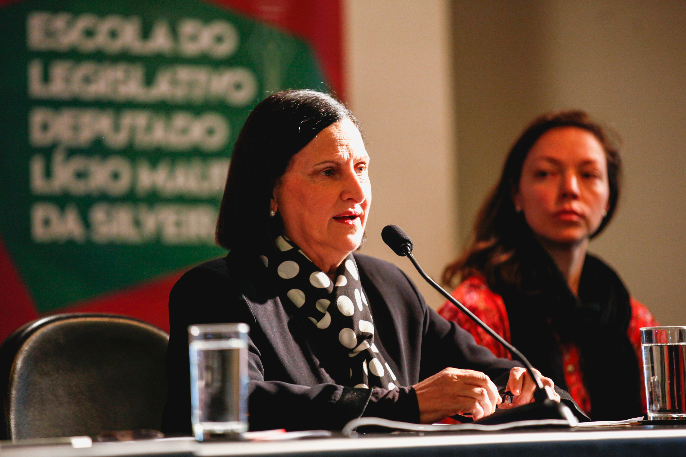 4º Congresso Nacional do Parto Humanizado. Foto: Karina Ferreira / Agência AL