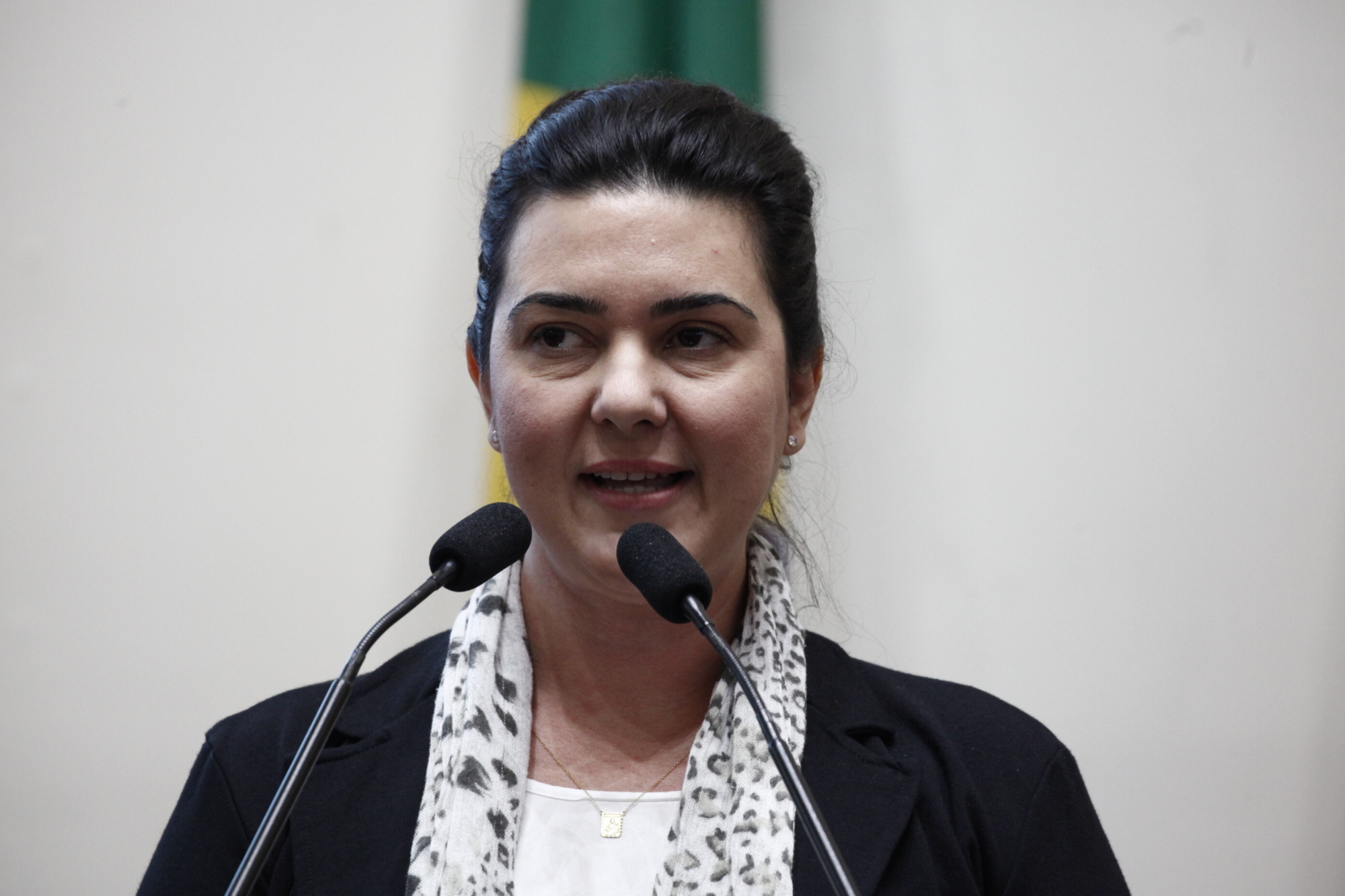 Plano de Assistência Técnica em Habitação de Interesse Social é apresentado