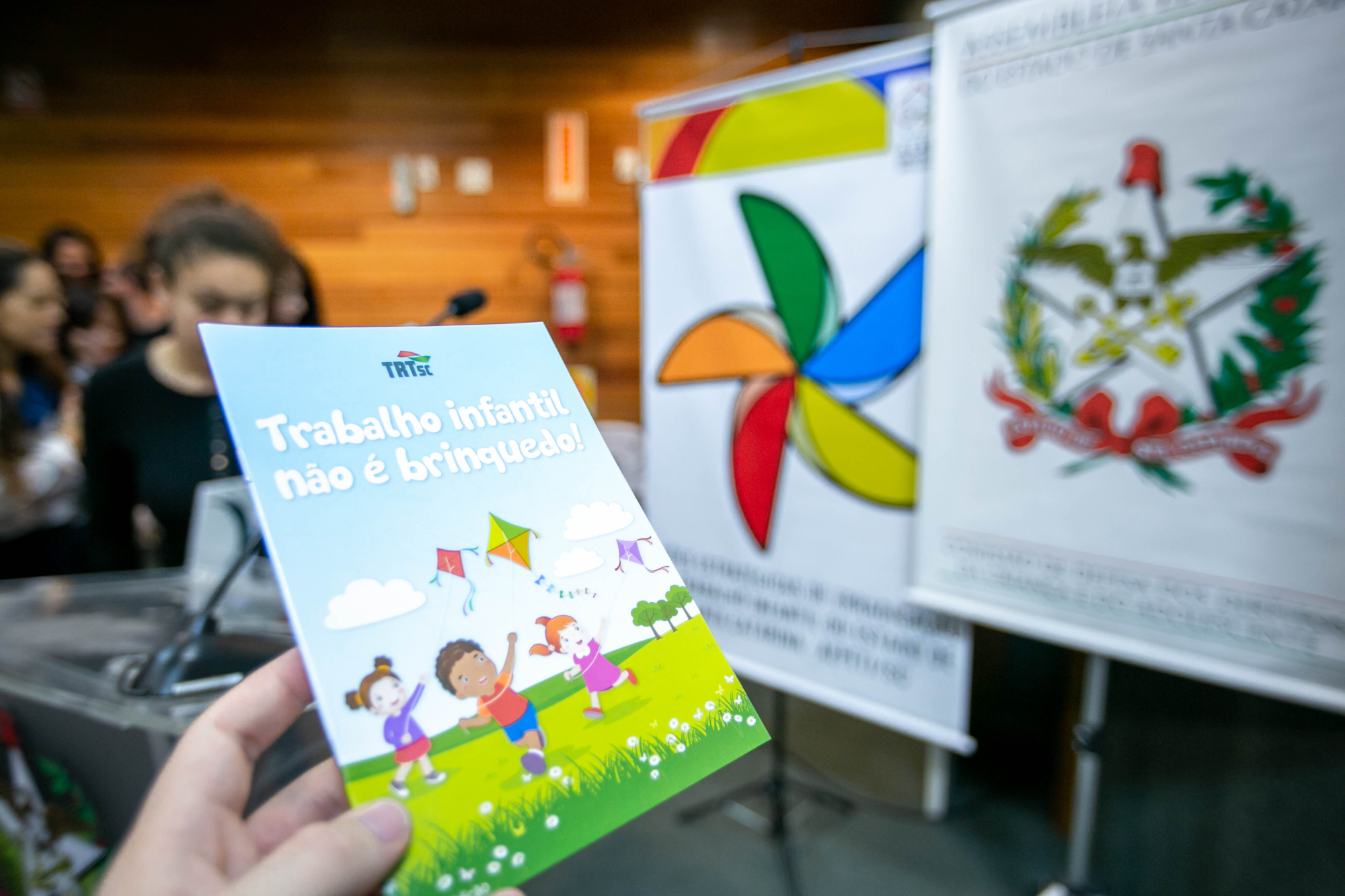 Trabalho infantil em Santa Catarina é tema de audiência pública na Alesc