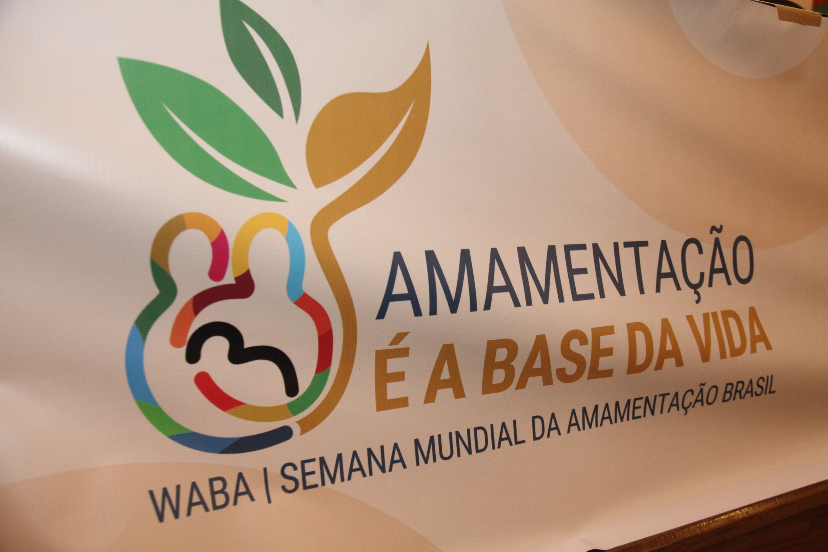3° Congresso Catarinense de Aleitamento Materno