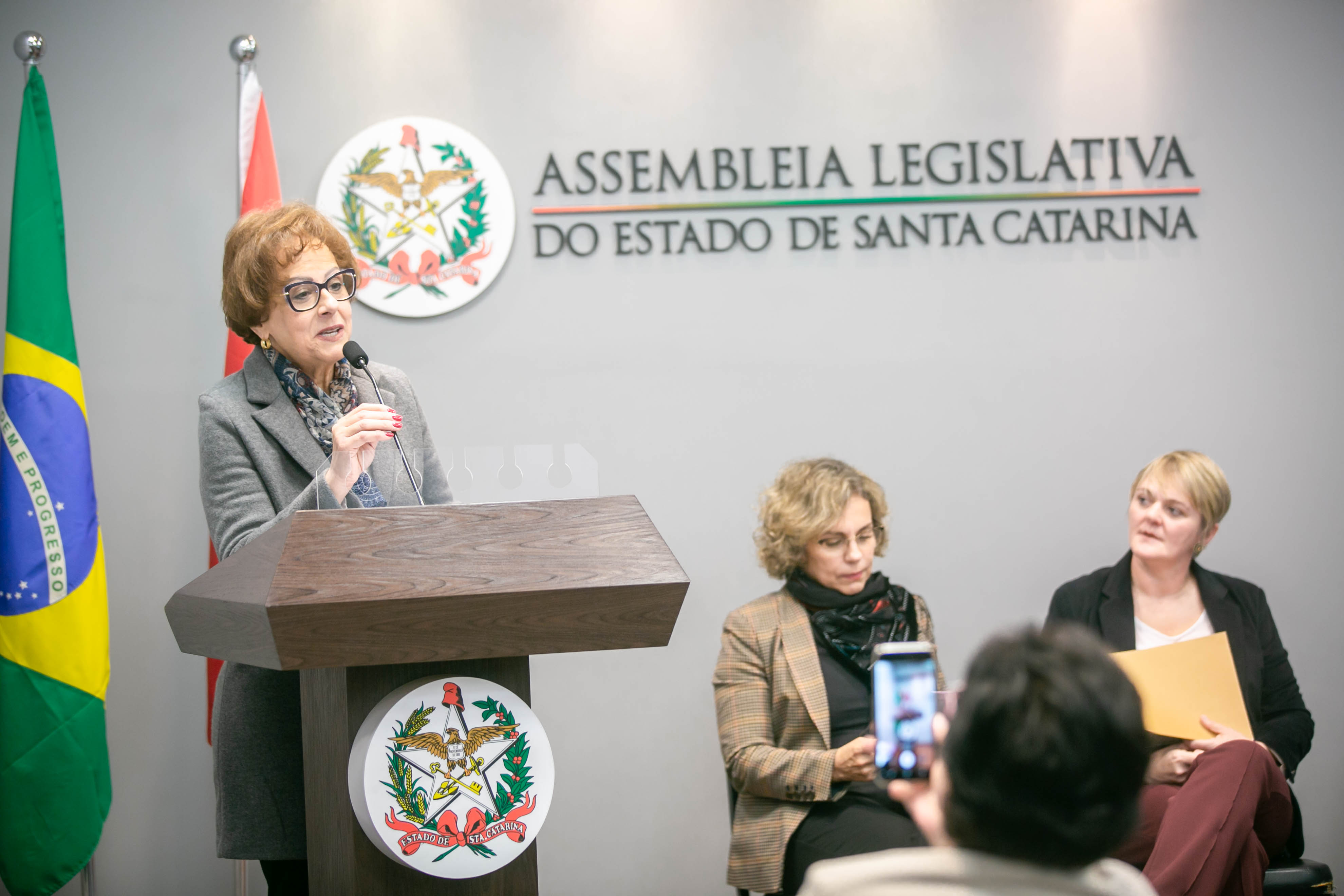 Reunião da Bancada Feminina