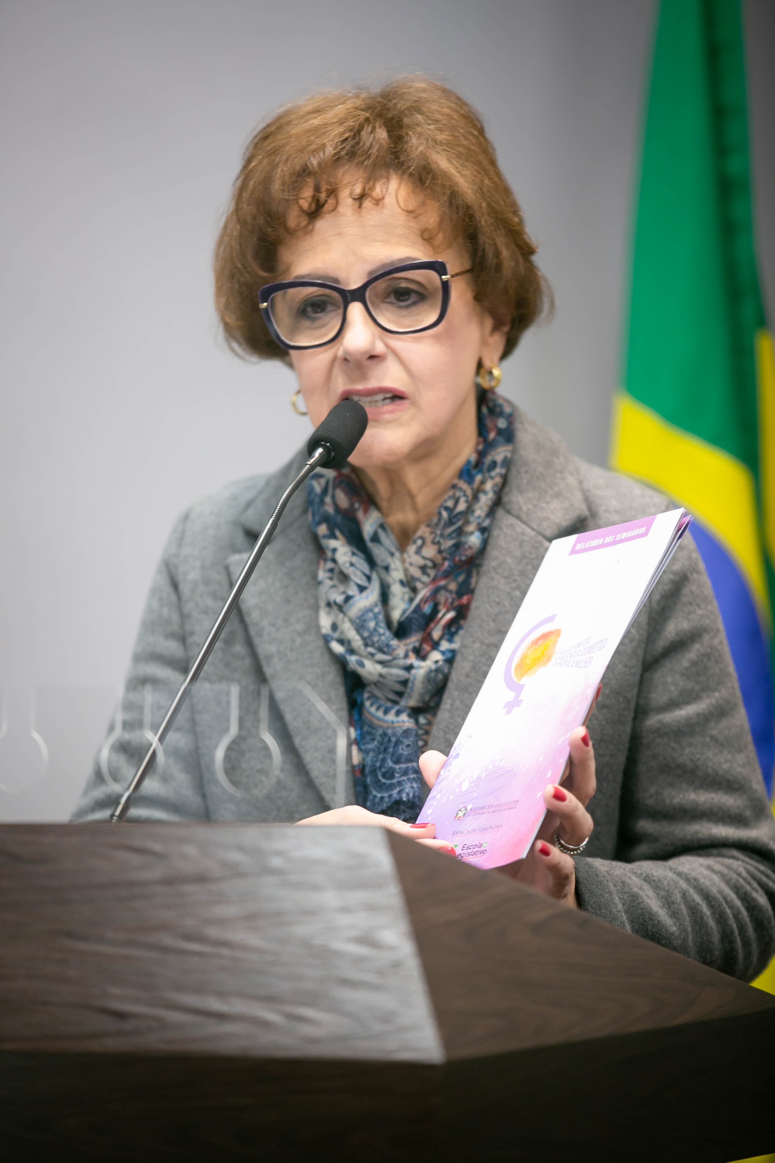Reunião da Bancada Feminina